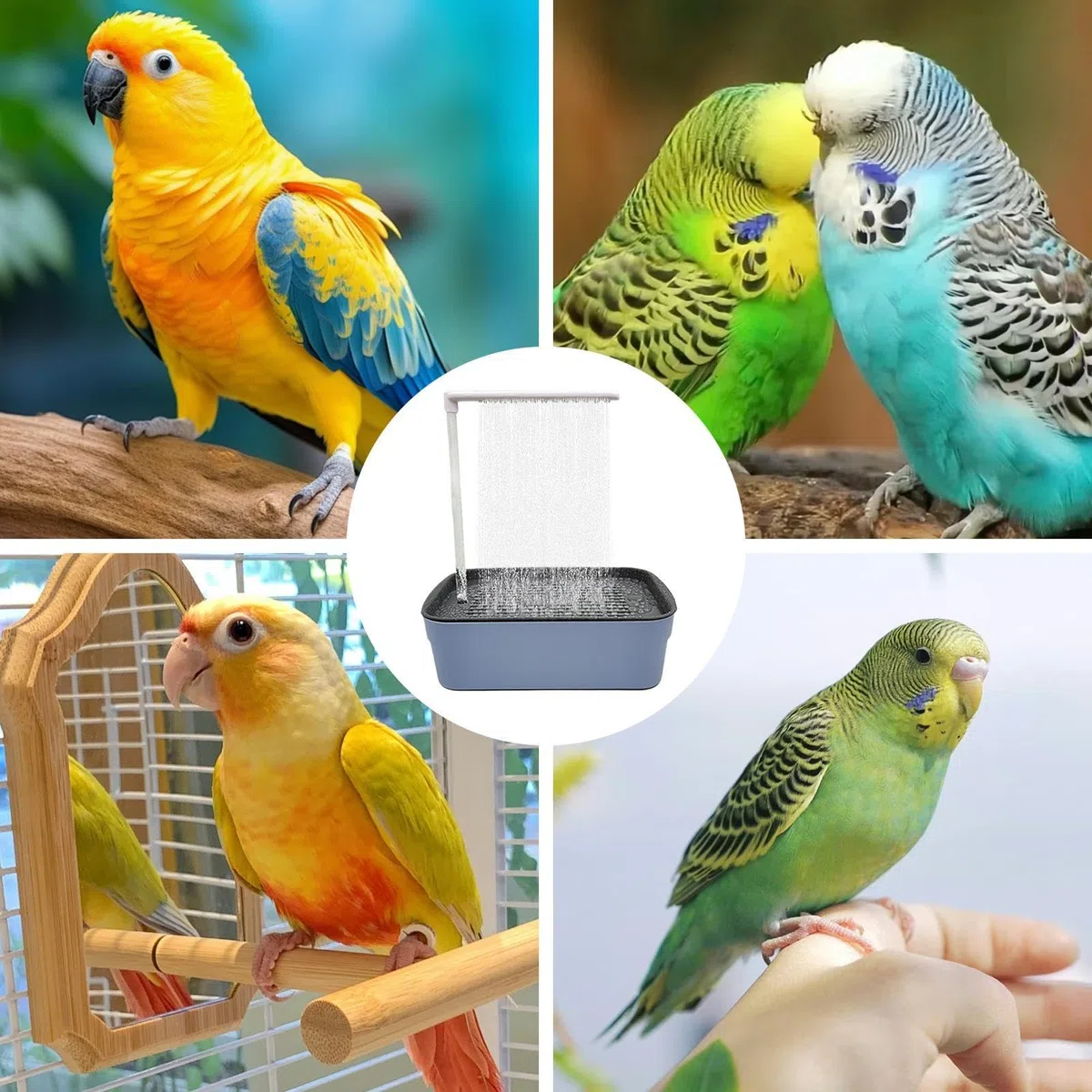 Automatyczna Wanna Dla Papug Z Prysznicem Parrot Shower Fountain With | Elektryczna Wanna Z USB I Fontanną Dla Małych I Średnich Konur Nimf Żako Nierozłączek