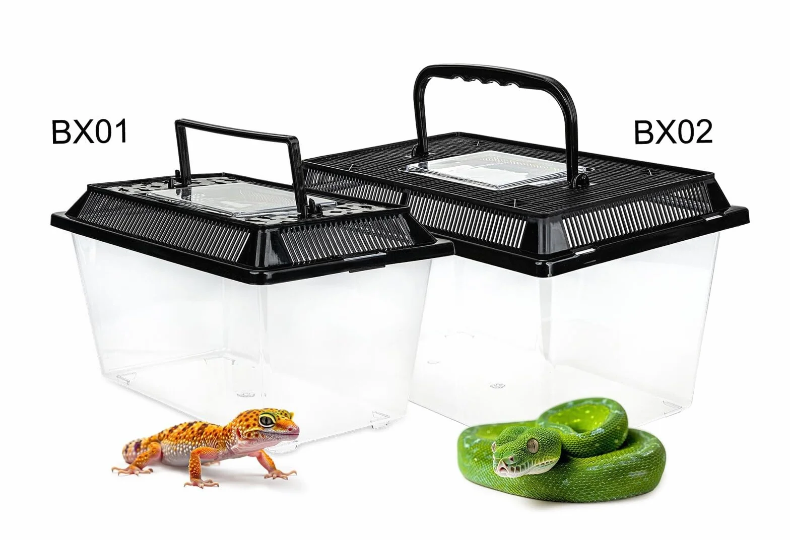 Happet Pojemnik hodowlany Terra Box Light 27×17×16 cm – przezroczysty z wentylacją i uchwytem | Transporter i faunarium dla gadów, płazów, owadów, pajęczaków, gryzoni