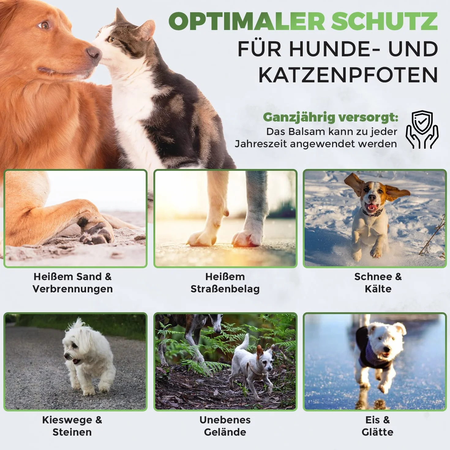 Golden Pets Balsam do łap dla psów i kotów – bardziej miękkie łapy i kompleksowa ochrona – 100% naturalny – maść na łapy, pielęgnacja łap, ochrona łap, balsam do nosa z propolisem i witaminą E