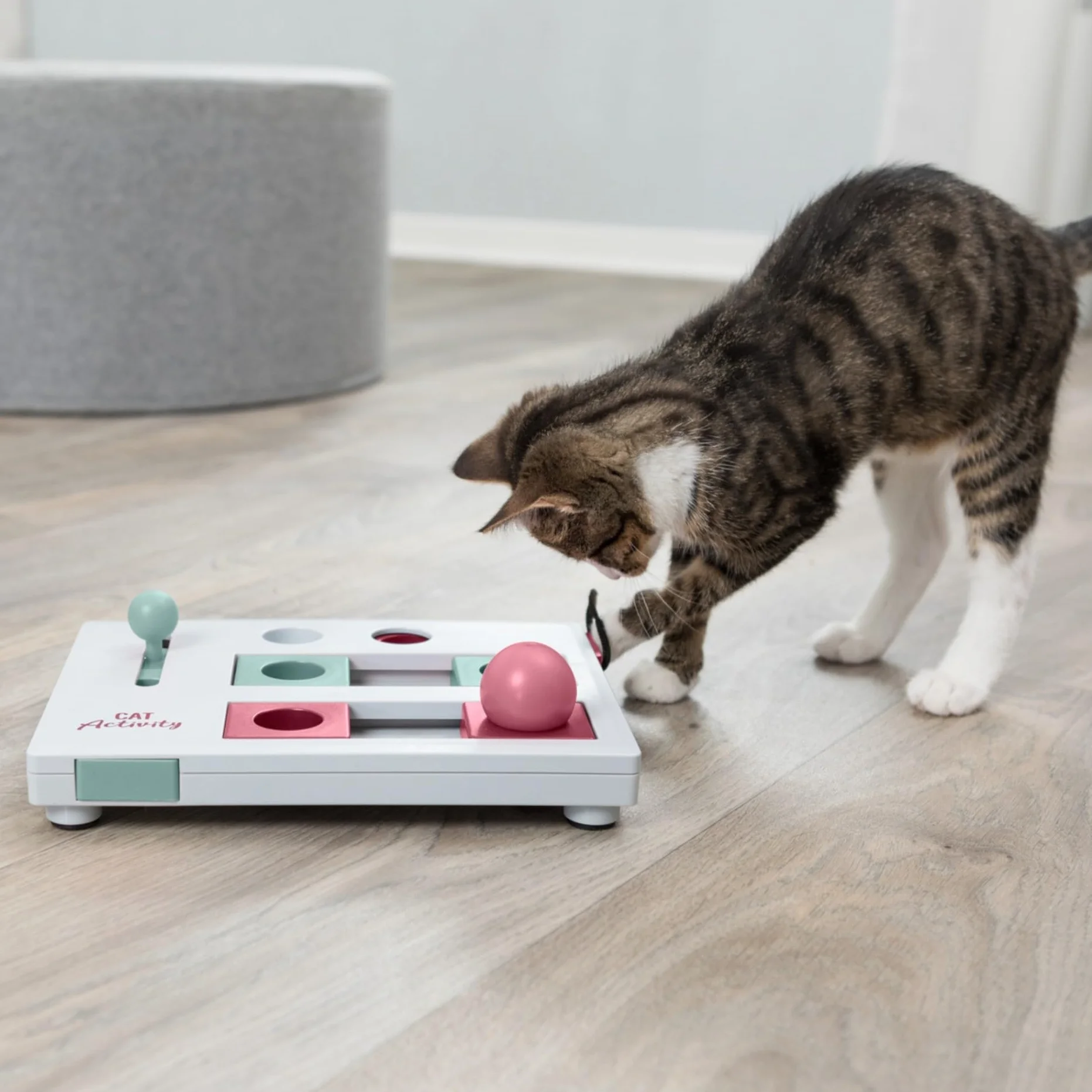 TRIXIE Cat Activity Brain Mover, gra strategiczna stymulacji psychicznej, interaktywna zabawa dla kotów, dozownik smakołyków, zabawka dla kota