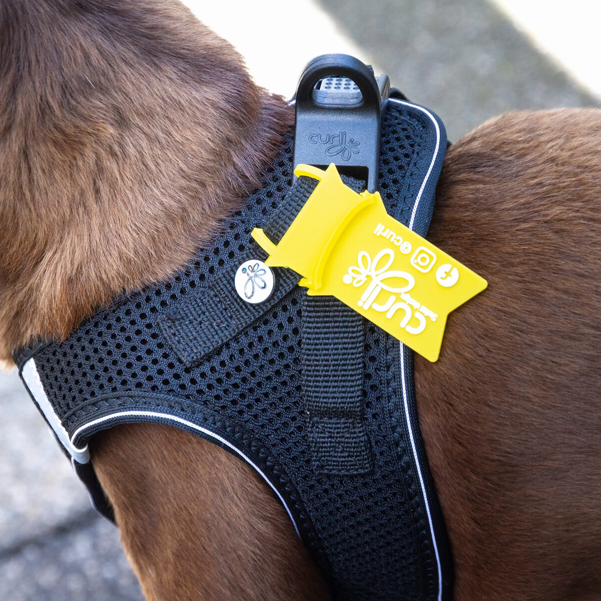 Vest Harness D-Ring Buckle Black M