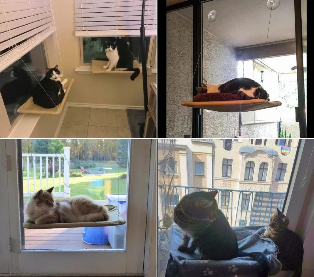 JZK Miejsce na Okno dla Kotów, Hamak + Koc do Opalania, Legowisko dla Zwierząt Domowych, Małych Psów, Królików lub Innych Małych Zwierząt