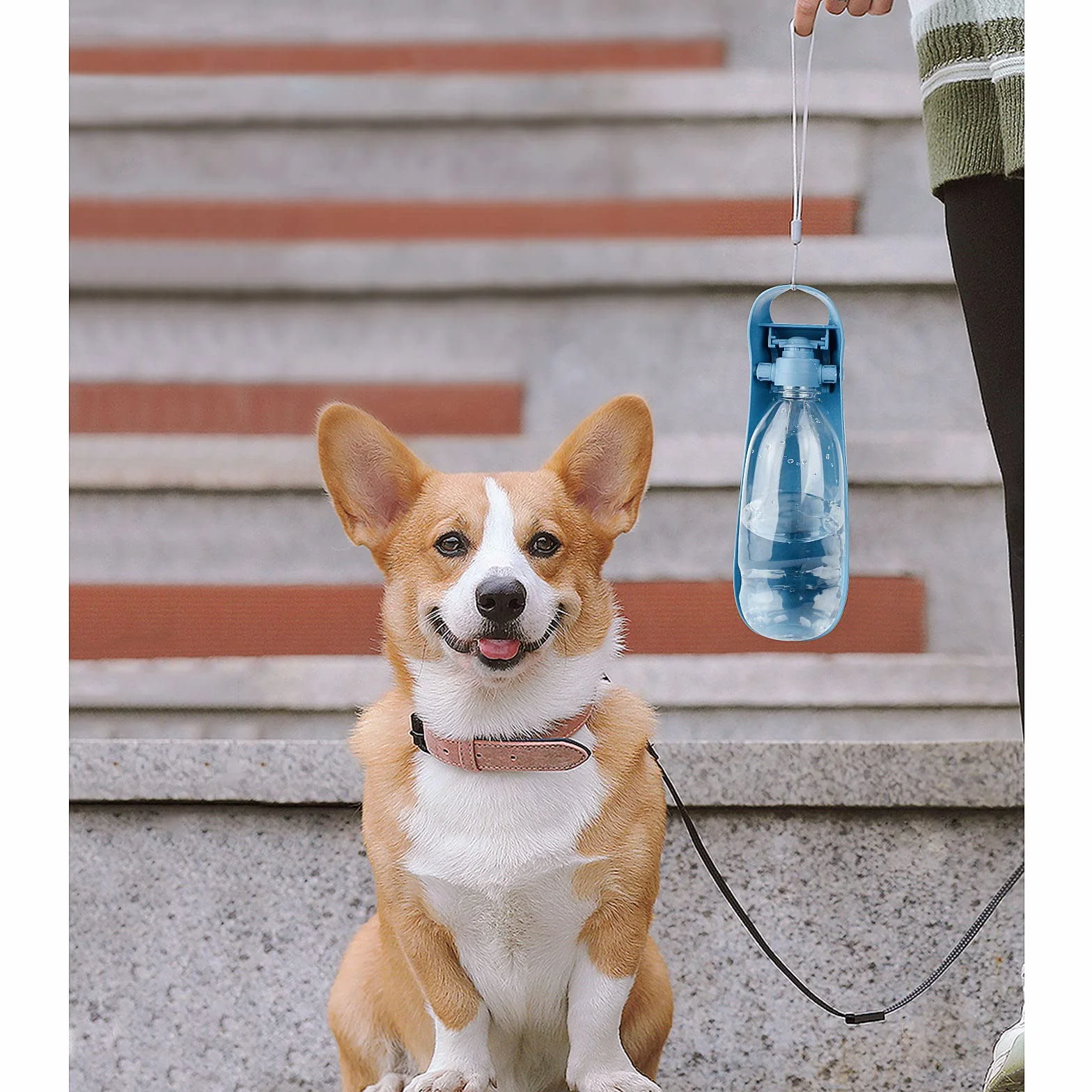 NAMSAN Butelka na wodę dla psa 550 ml przenośny dozownik outdoorowa niebieska