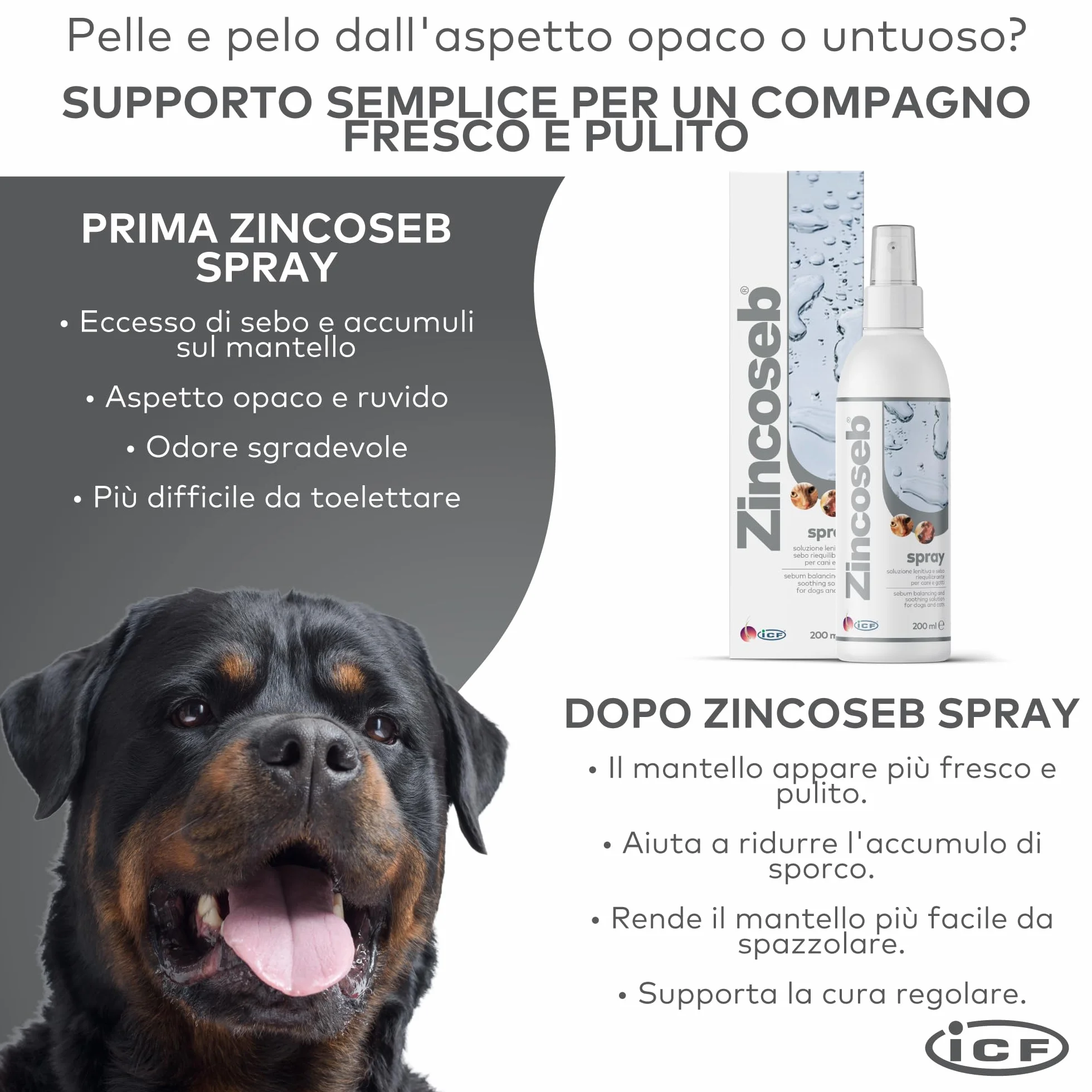 Geulincx Zincoseb Spray 200 ml ICF