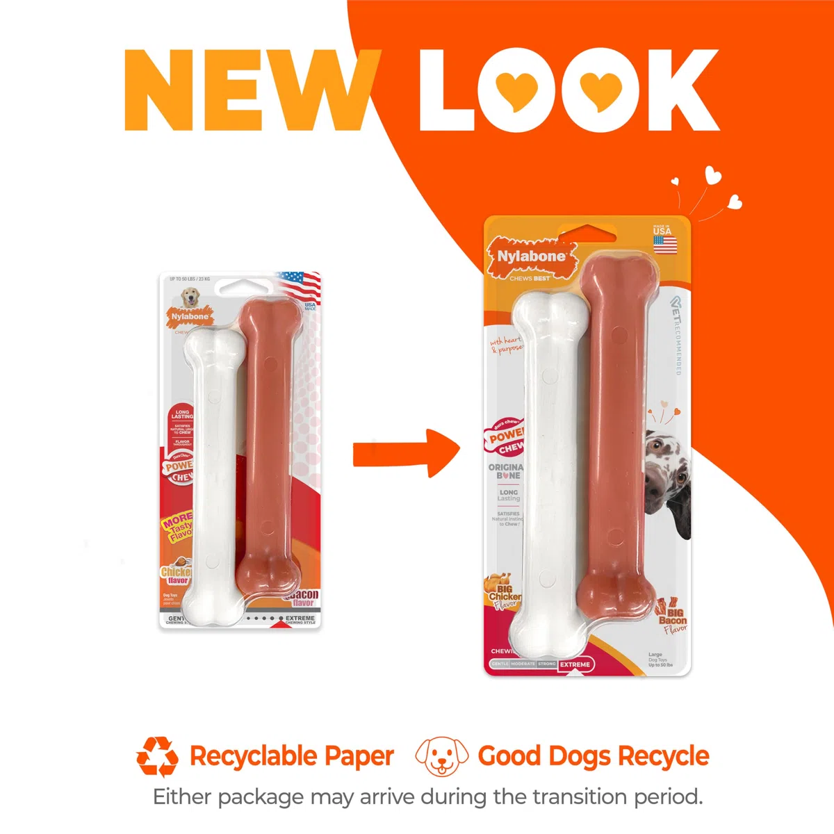 Nylabone 2 x Dura Chew ekstremalnie wytrzymałe kości do żucia dla psa, 1 boczek i 1 kurczak, duża, dla psów do 23 kg