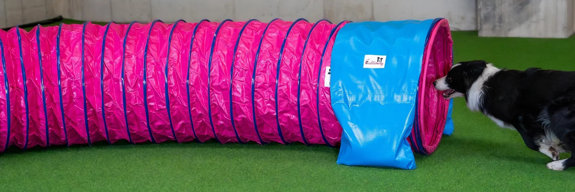 Callieway® Dog Agility tunel profesjonalny / psy tunel 5 m długości / 60 cm Ø Agility urządzenie (5 m, fuksja)