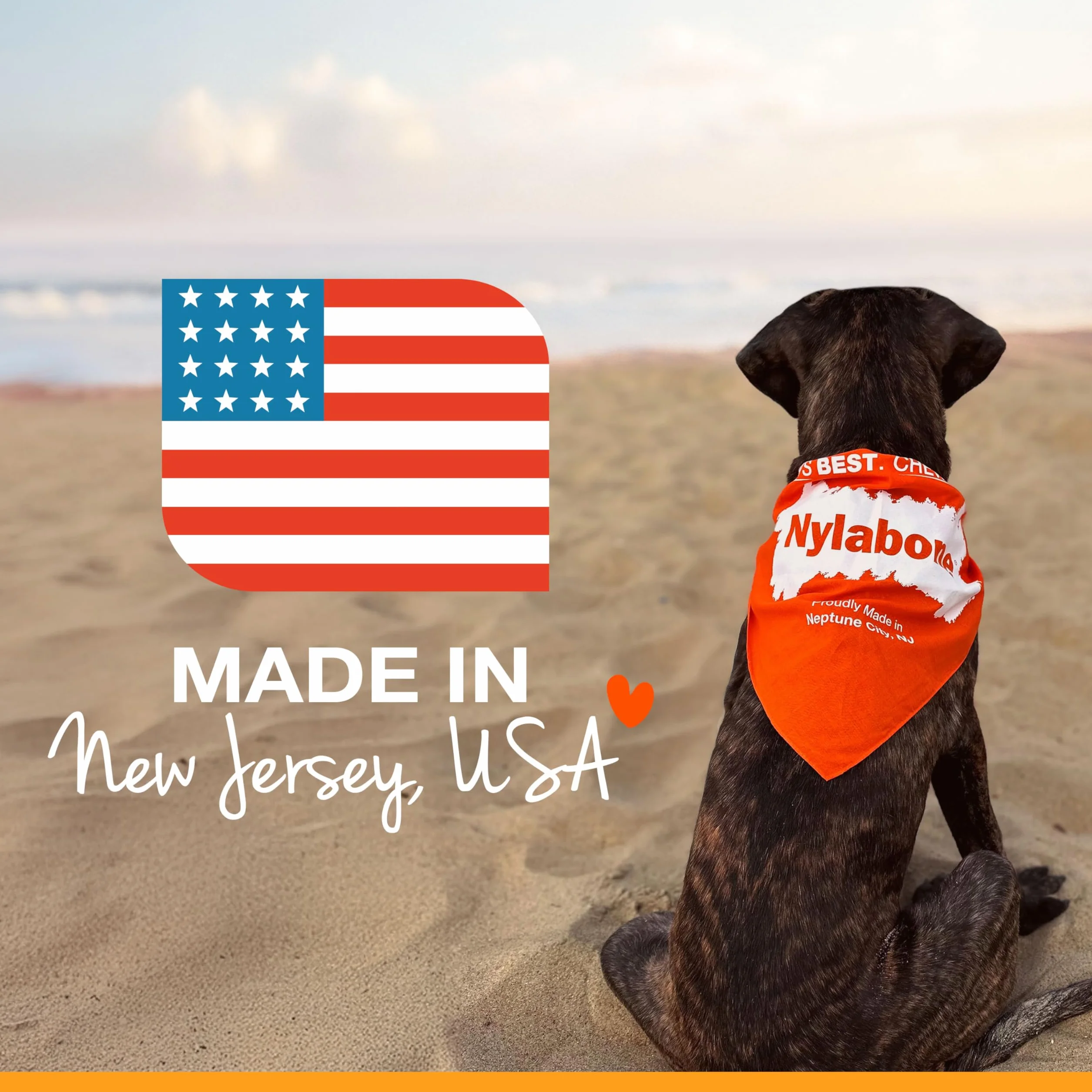 Nylabone Zabawka do Gryzienia, Niebieski, XS