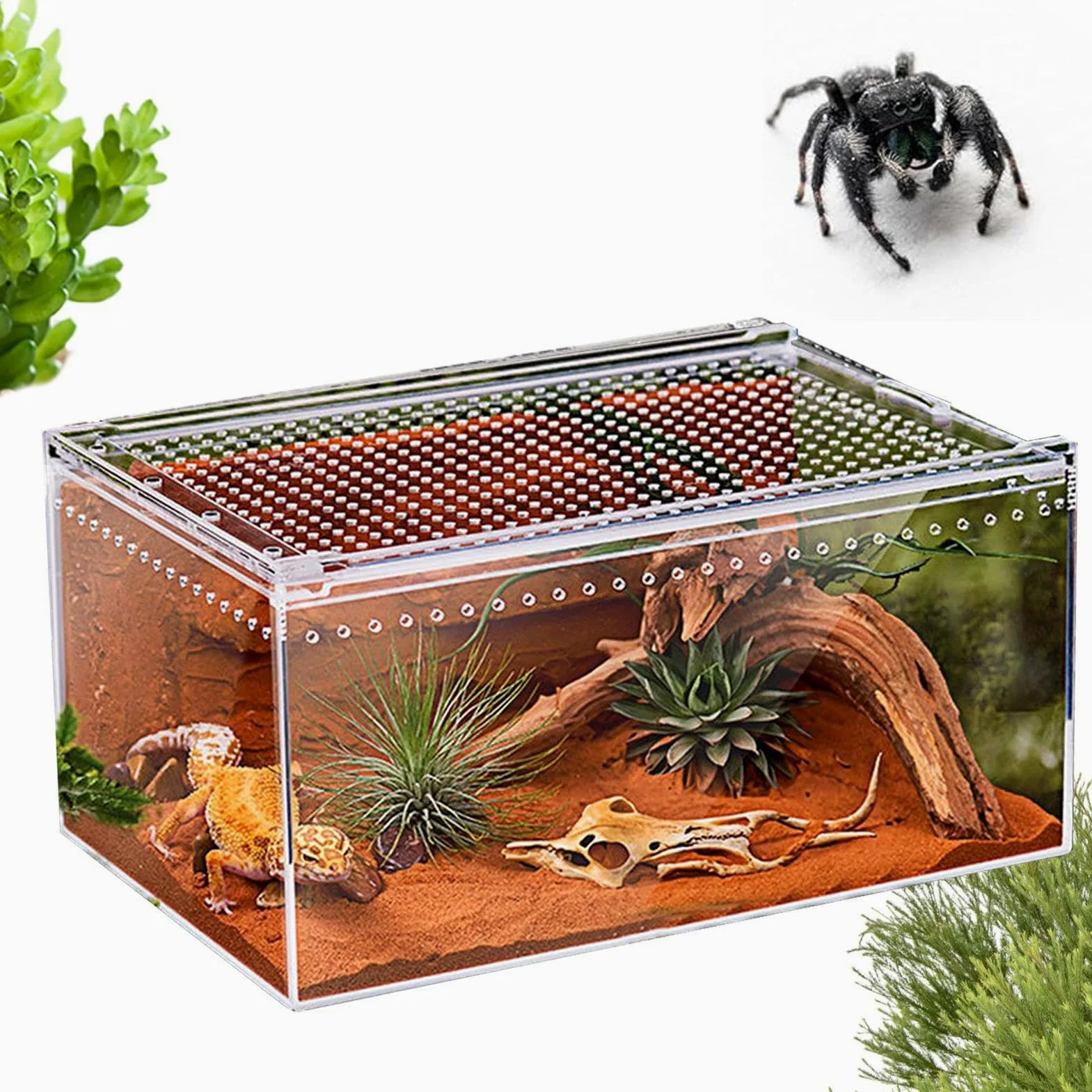 Terrarium Dla Skacz?cych Paj?ków | Akrylowy Przezroczysty Zbiornik | Siedliskowy Dla Gadów - Klatka Gadów | dla Gekonów W??y Kameleonów ?ó?wi