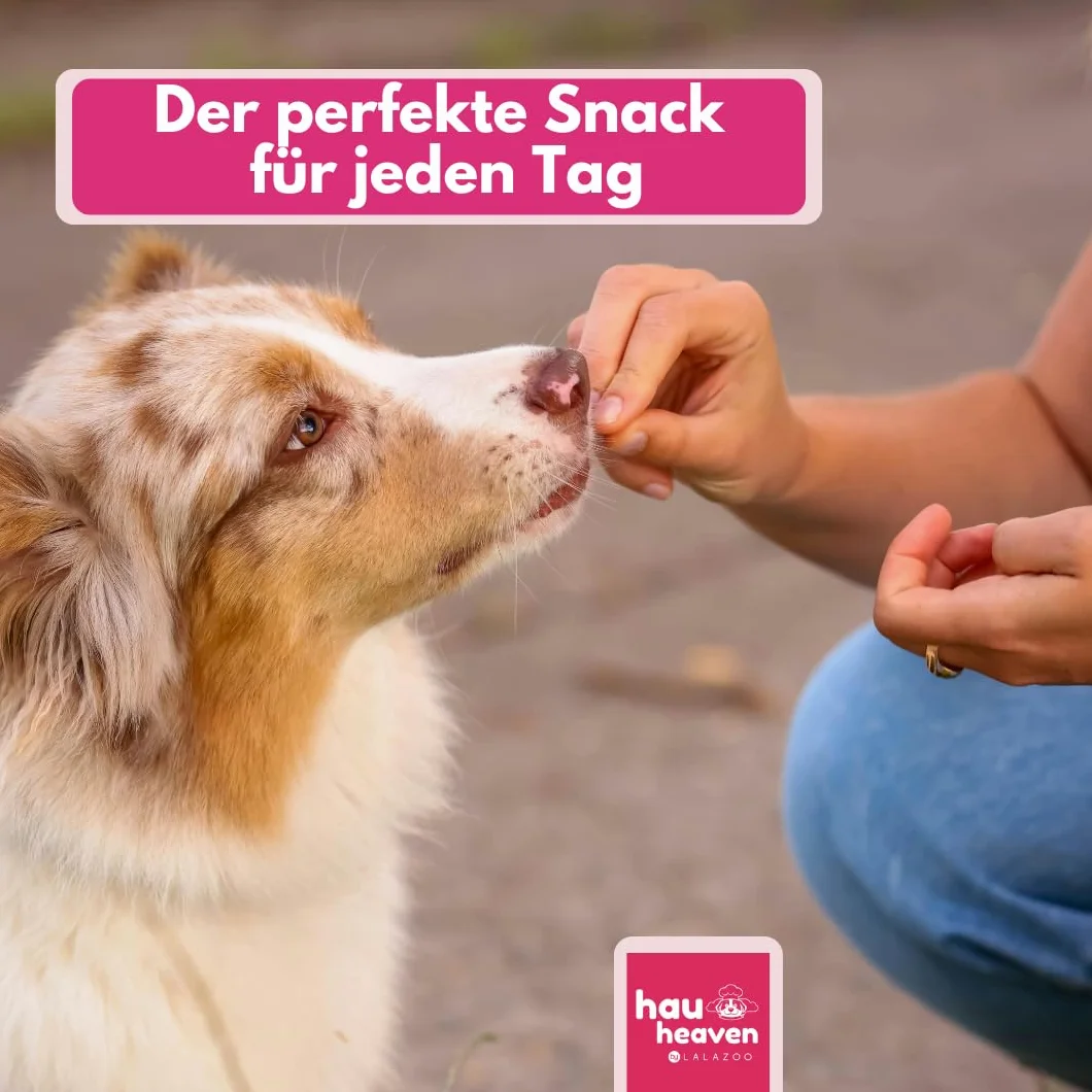 Przysmaki dla psów Soft Duck Jerky 500 g, miękkie filety z kaczki, bogate w białko, bez zbóż, suszone