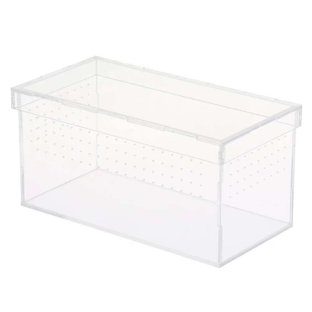 Pudełko terrarium dla gadów i płazów węże jaszczurki żółwie pająki