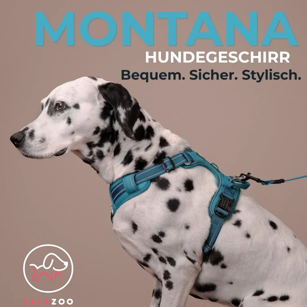 Szelki dla Psa MONTANA, mocna Regulowana uprząż Guard, Odblaskowe, z Miękką Wyściółką, bezuciskowe, odpinane z boku, bez przekładania przez szyję, Wygodne, z uchwytem, (czarny, XL)