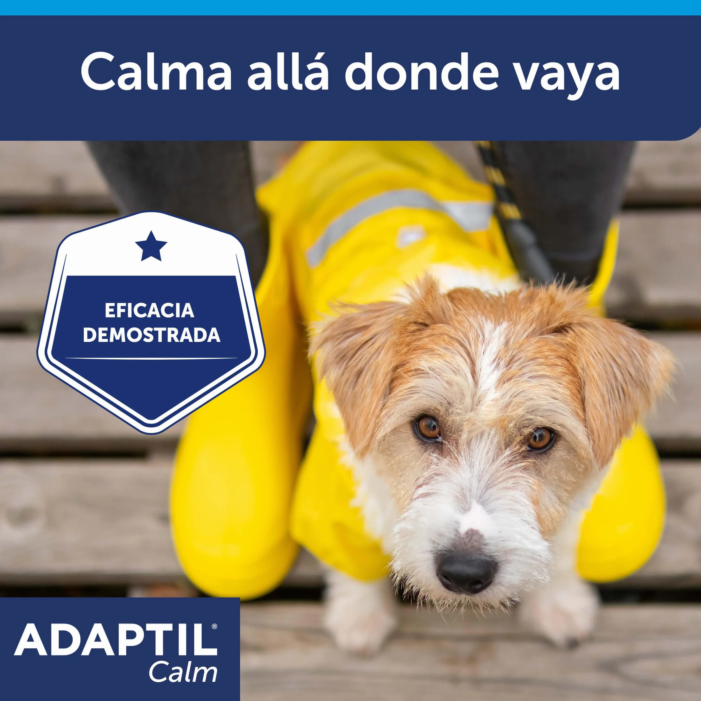 CEVA Adaptil Calm - antystresowy dla psów - lęki, głośne dźwięki, nauka, adopcja - obroża S dla małych psów