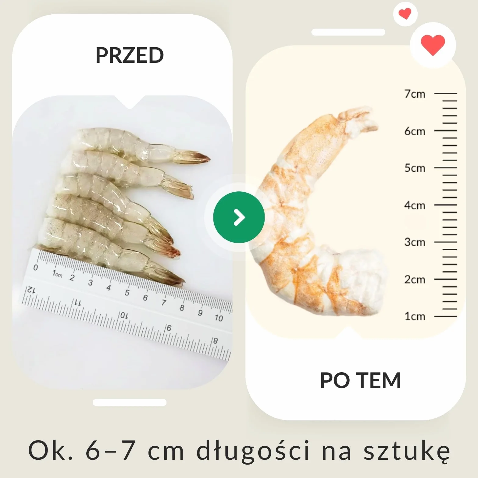 XXL liofilizowane przysmaki dla kota, 100% krewetka olbrzymia, monobiałkowe smaczki bez zbóż i bez cukru, tylko 1 składnik, zestaw 3 x 50 g