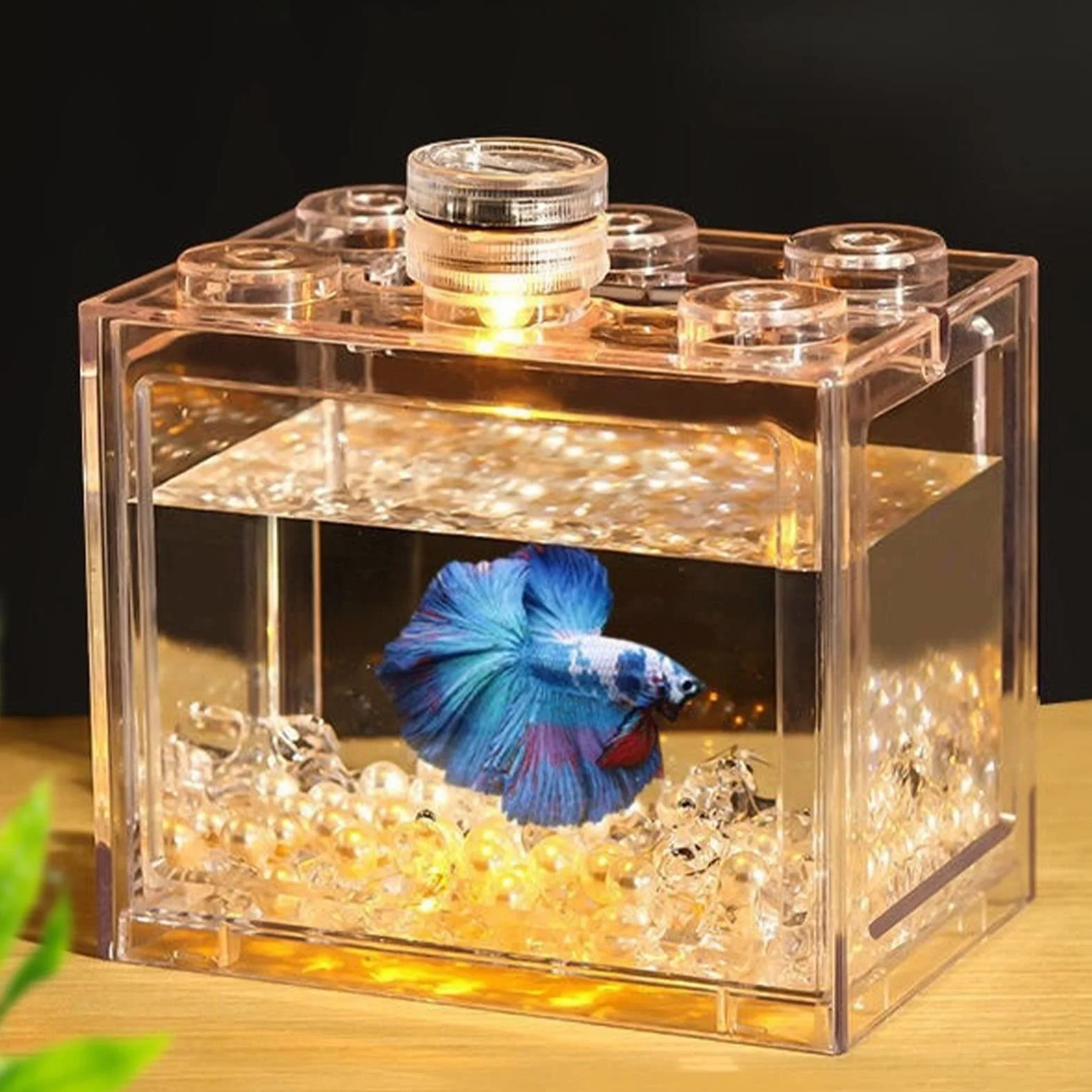 Miniaturowy akwarium, małe akwarium betta, przenośny, przezroczysty, wykwintny, odporny na upadki, dla gadów dla ryb (zwykły przezroczysty)