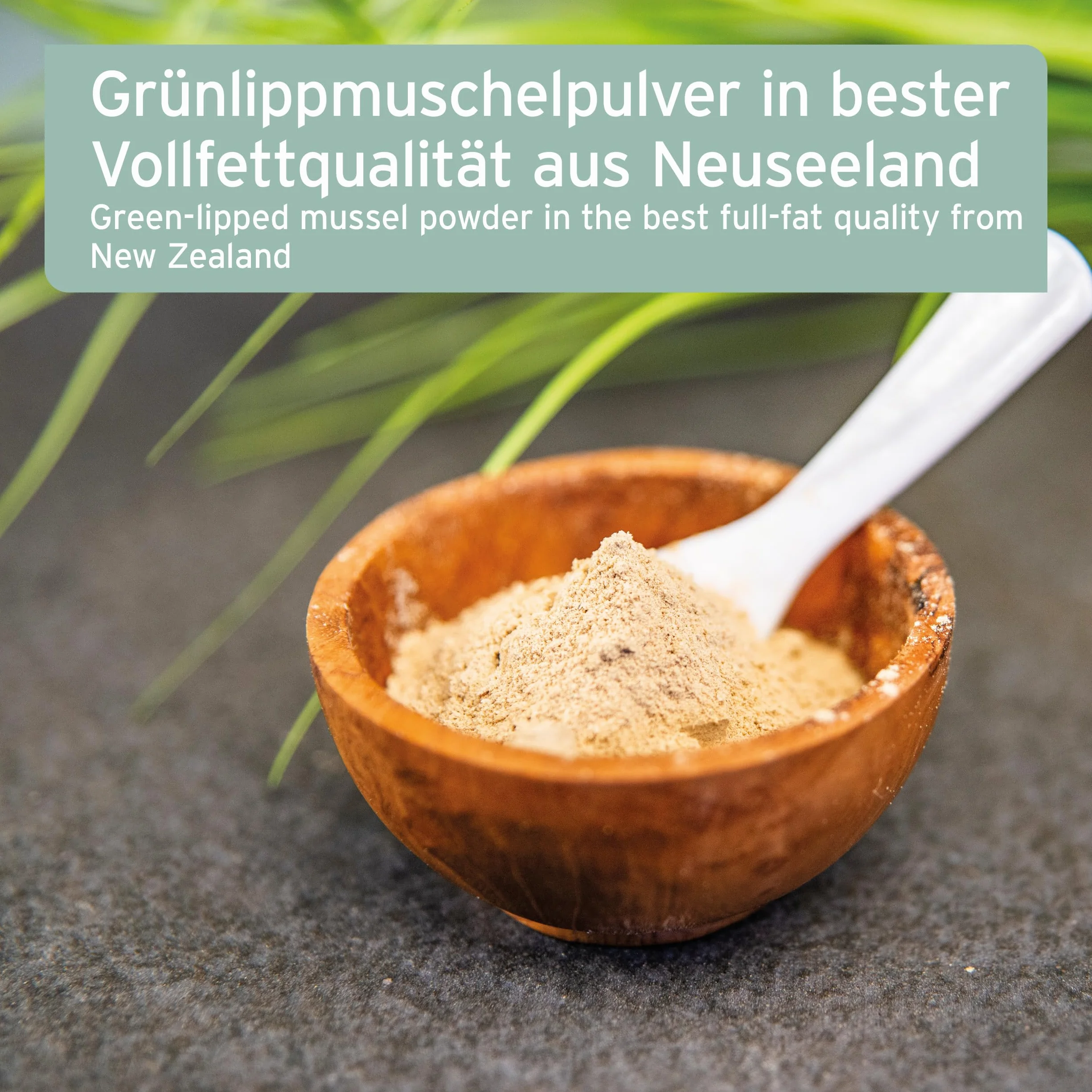 AniForte Proszek z Muszli Omule Zielonowargowego Pies 500g ZWYCIĘZCA PORÓWNANIA 2023 – Produkt Naturalny dla Stawów i Funkcji Stawów, Proszek z Muszli Omule Zielonowargowego Pies w Pełnotłustej