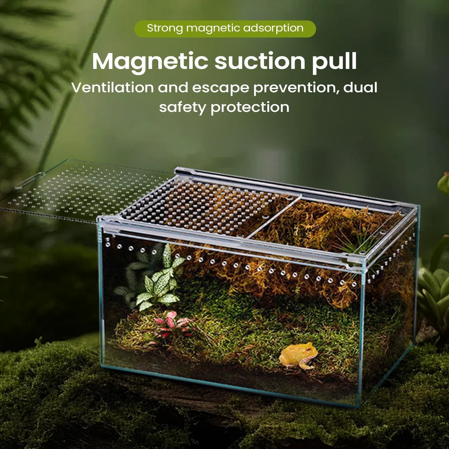 Terrarium Dla Paj?ków Skacz?cych - Akrylowe Terrarium Dla Gadów | Jaszczurek,dla Gekonów W??y Kameleonów ?ó?wi