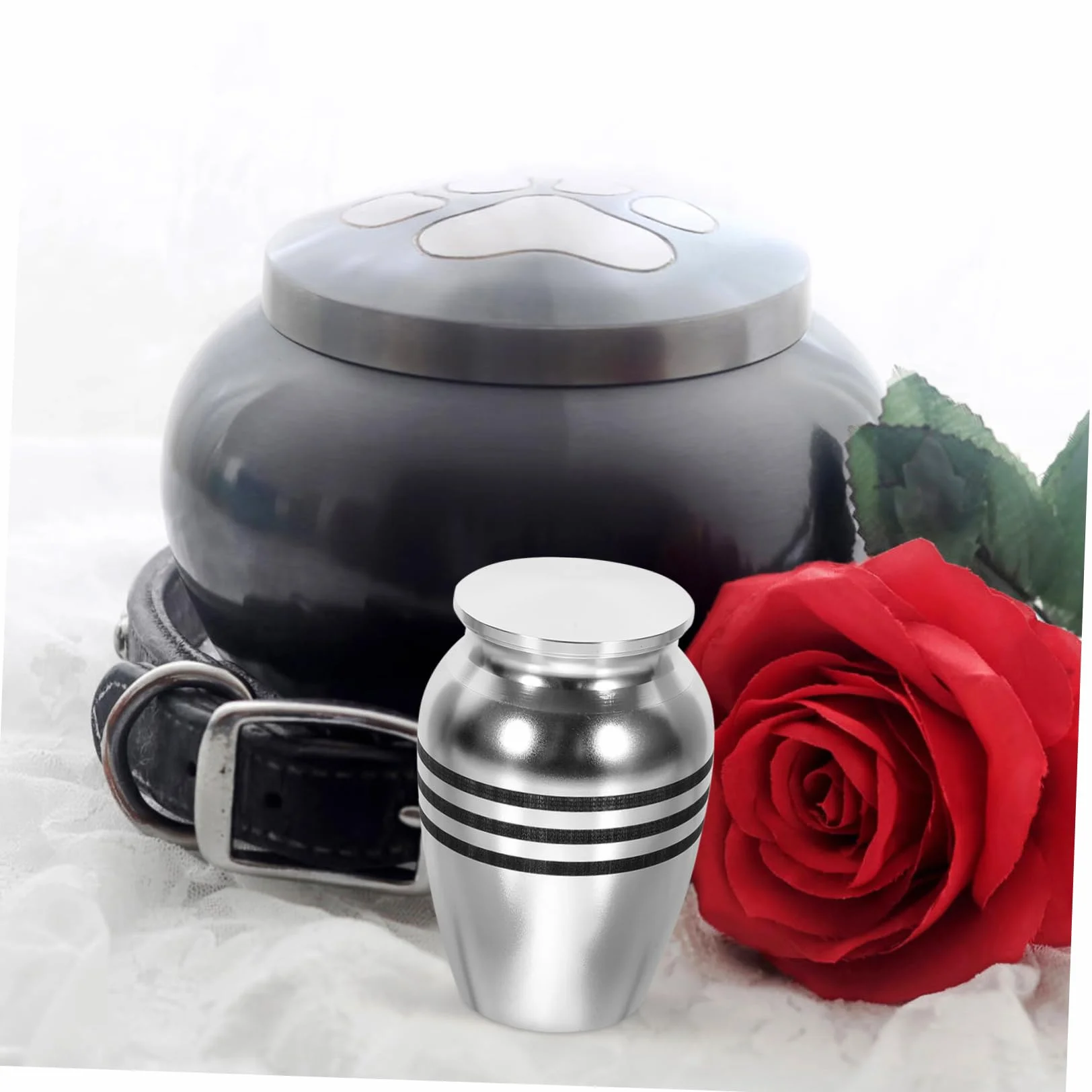 Pet Urn for Dogs and Cats Keepsake Ashes Container Stylish and Alloy Cinerary Casket for Pet Memorials