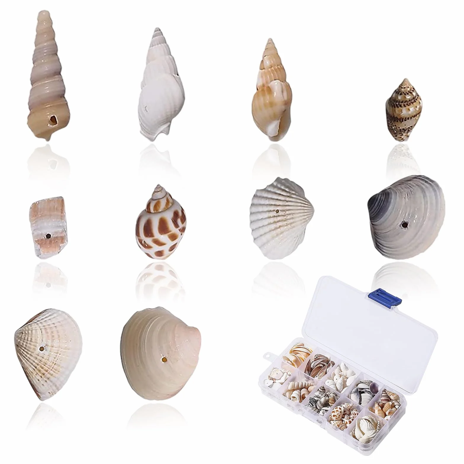 150-200 sztuk mieszane muszle, muszle plażowe, muszle morskie, mieszane muszle oceaniczne, plażowe, dekoracja weselna, akwarium, wypełniacz wazonu