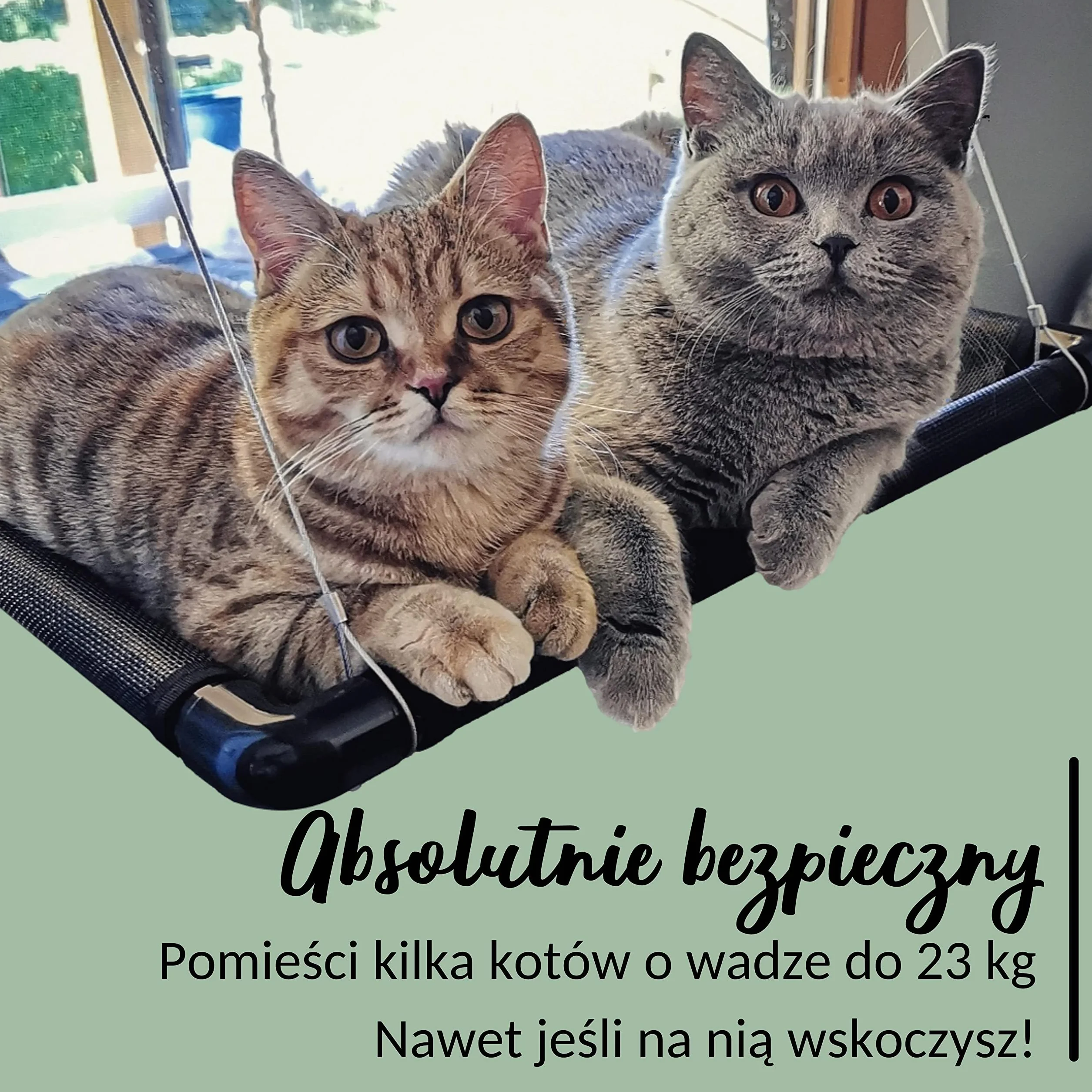 Rijk Hamak Okienny dla Kotów, Waga do 23 kg, Stabilne Miejsce do Leżenia w Oknie