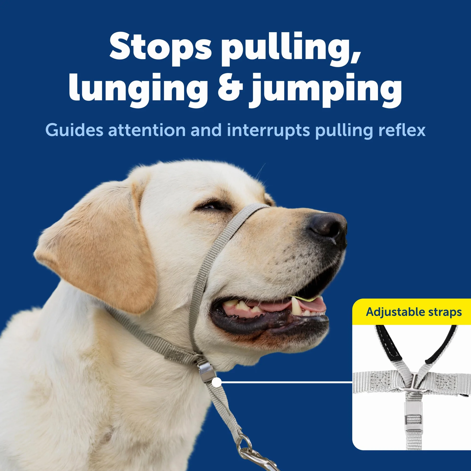 PetSafe Gentle Leader Obroża dla psa bez ciągnięcia – najlepsze rozwiązanie dla psów ciągnących – przekierowuje siłę psa, ułatwiając spacer – pomaga odzyskać kontrolę – L, niebieska (Royal Blue)