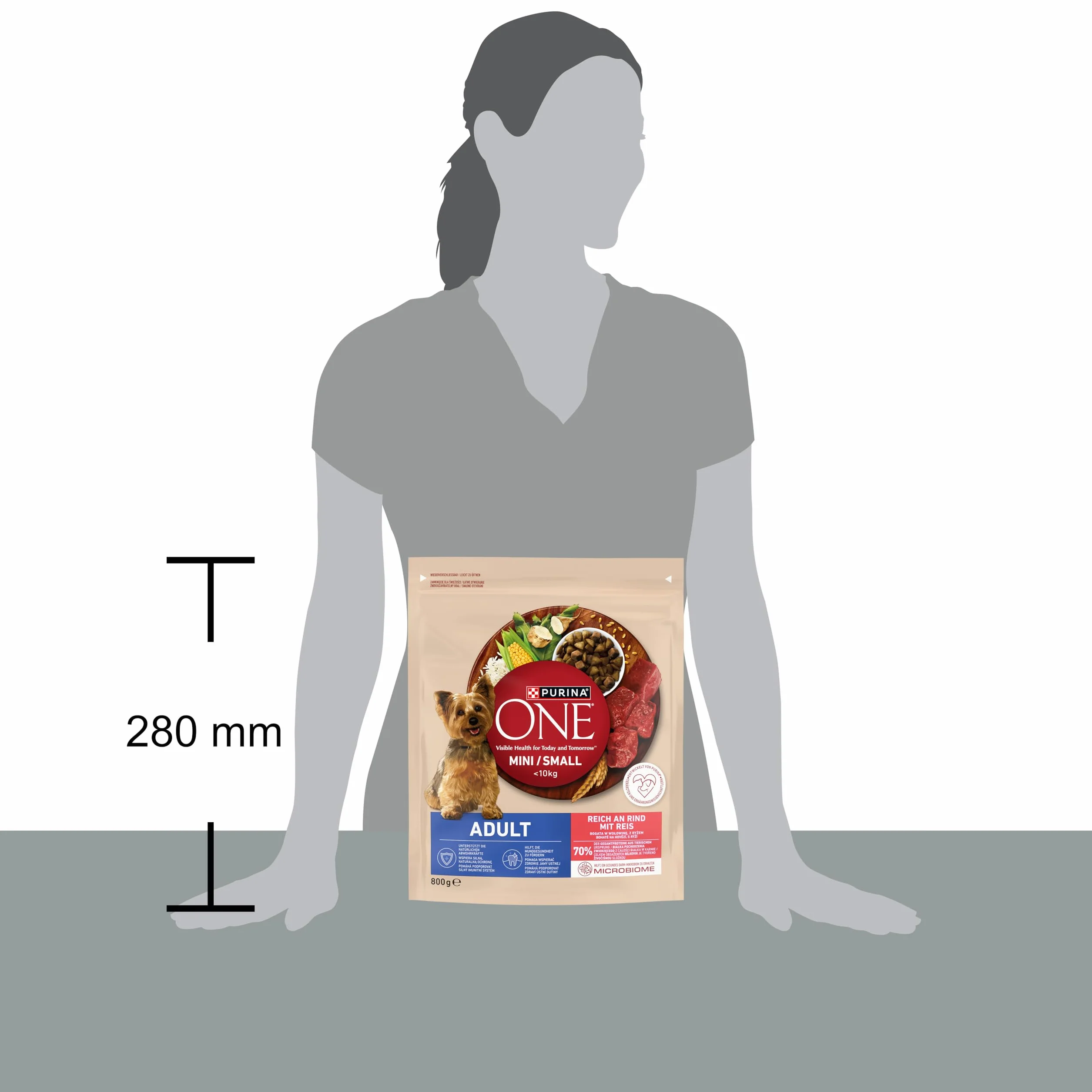 PURINA ONE Mini/Small Delicate karma dla psów sucha dla małych psów, bogata w łososie i ryż, 8 sztuk w opakowaniu (8 x 800 g)