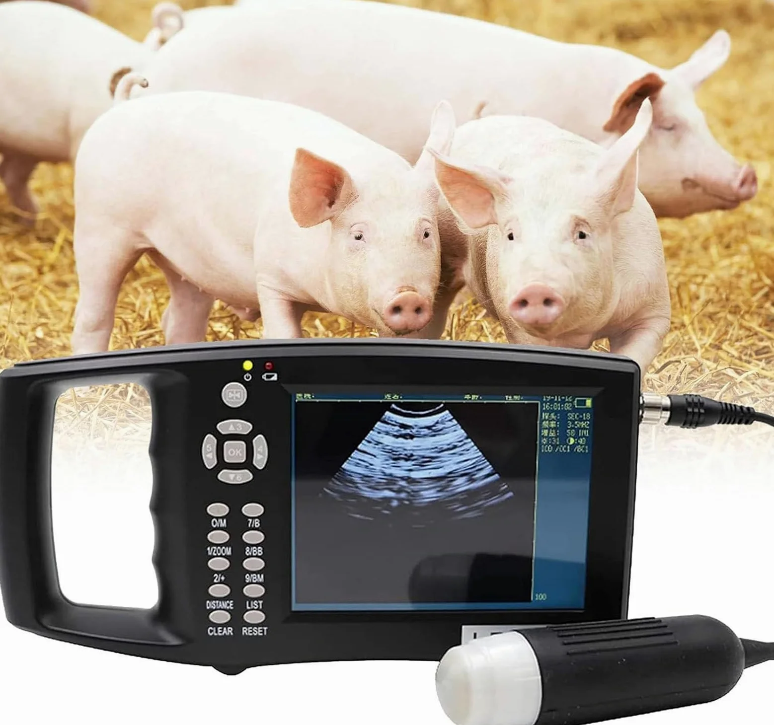 Zestaw weterynaryjnego skanera ultradźwiękowego z sondą mechaniczną do ciąży świni i owiec, 5 trybów wyświetlania, ekran HD do dokładnego testowania ciążowego