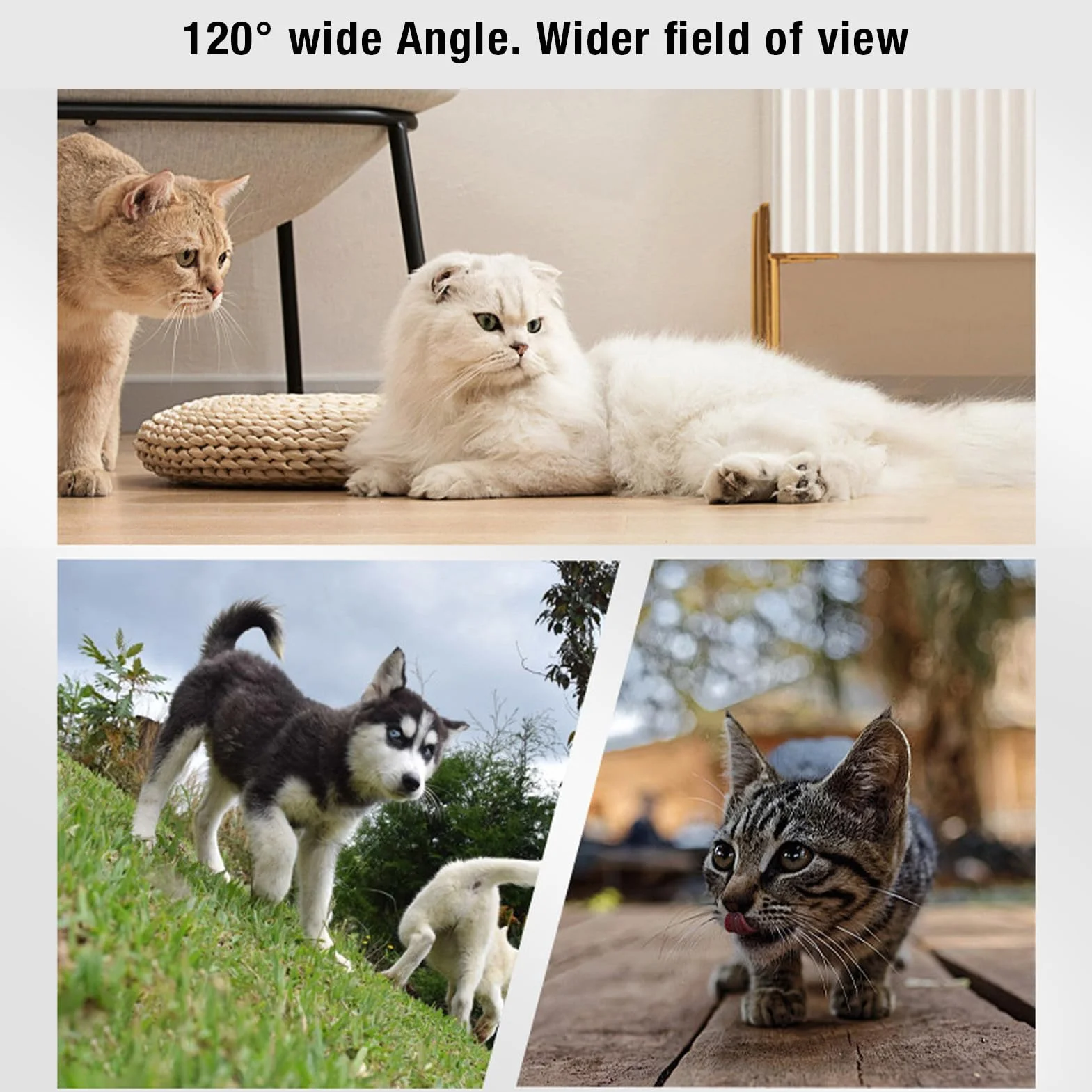 Kamera z obrożą dla Kota, Obroża z Lokalizatorem Psa HD 1080P, Mini Kamera Akcji do Nagrywania Wideo Wewnątrz i na Zewnątrz, Nie Wymaga Wi-Fi, Artykuły dla Zwierząt (WHITE)