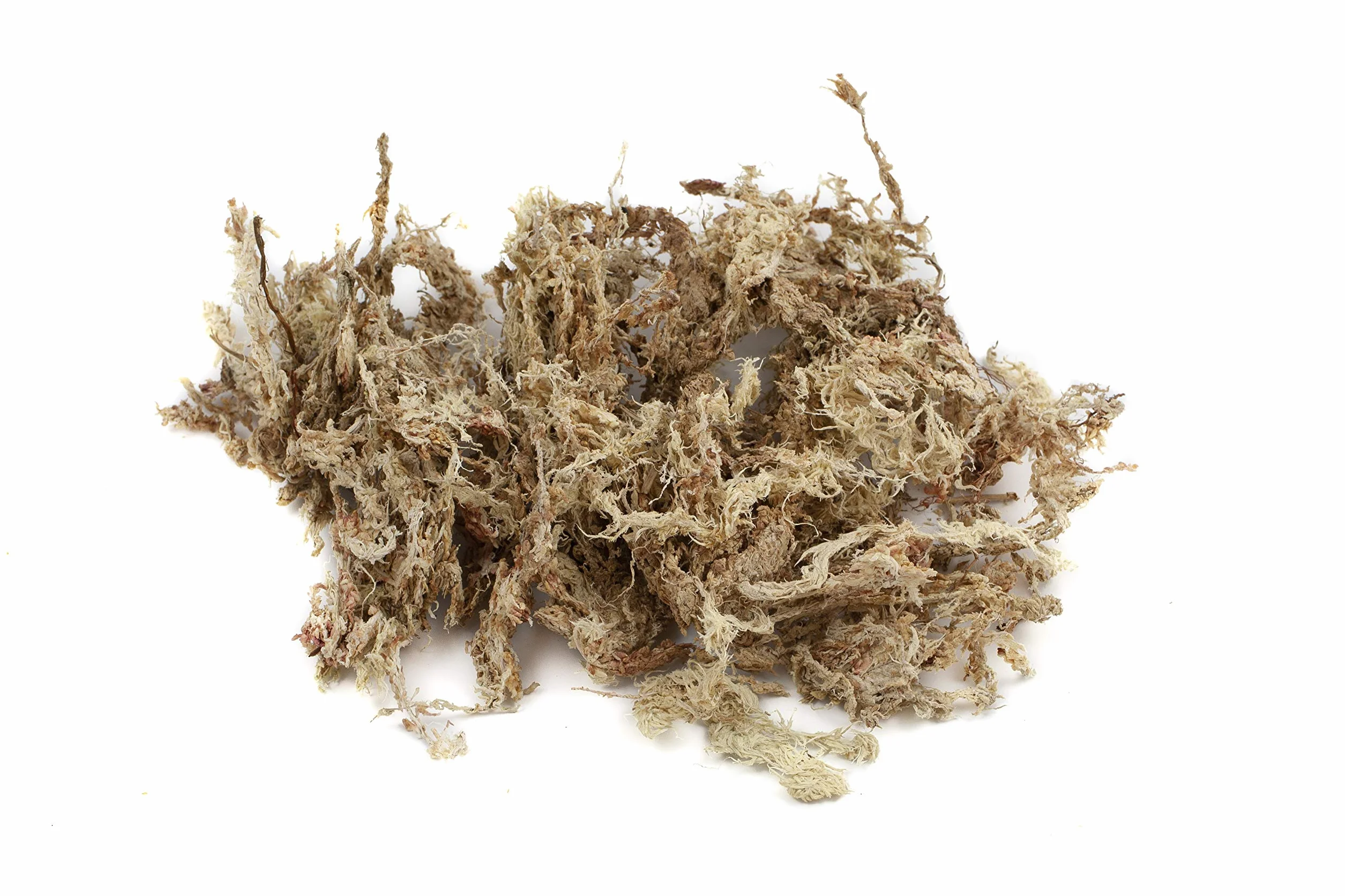 Torfowiec mchu do terrarium i storczyków z Chile 100/200/400 g do storczyków i terrarystyki - idealne podłoże i pałeczki mchu (200 g)