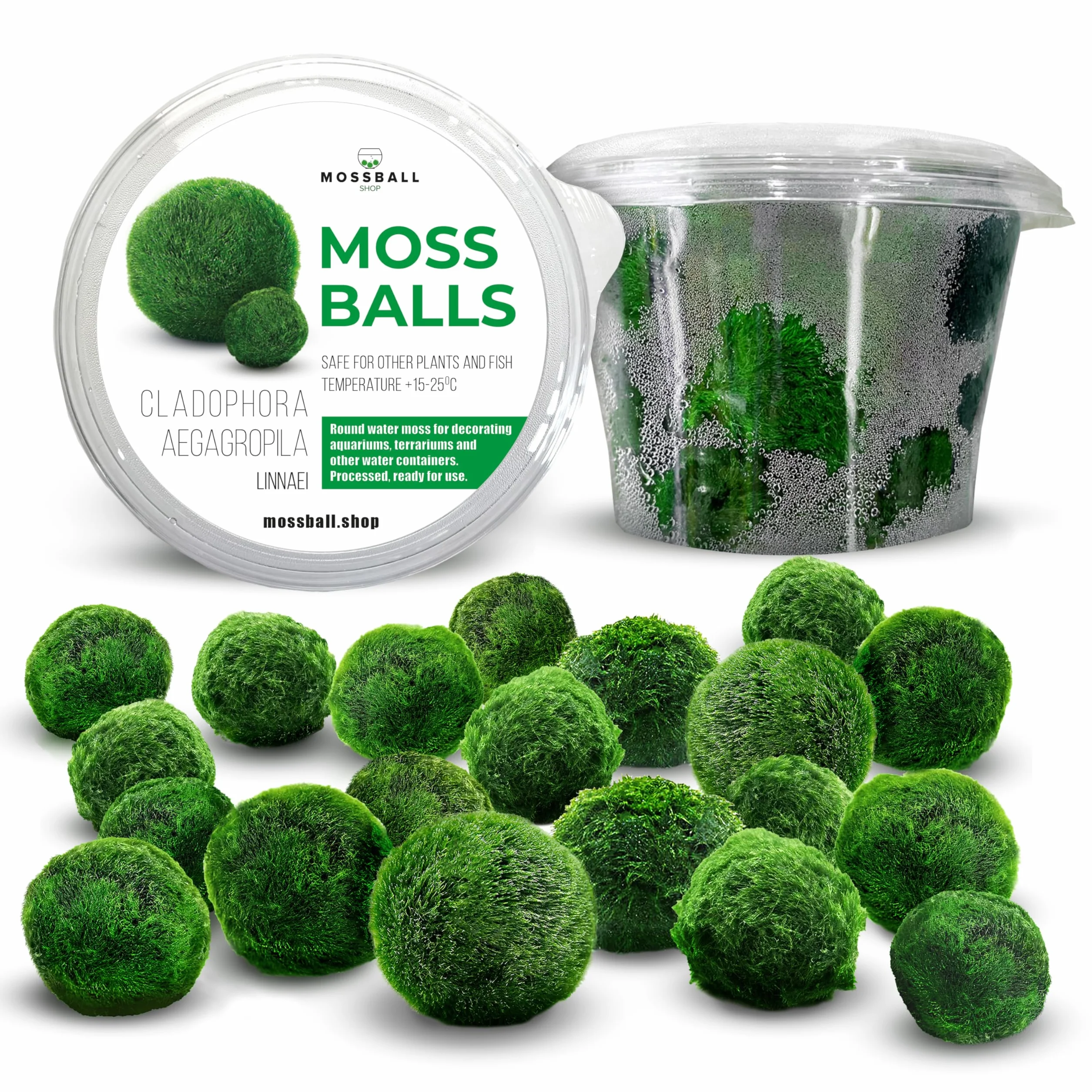 20 + 1 szt. kule mchu akwarium Cladophora aegagropila linneiae mech rośliny akwariowe rośliny wodne dekoracja rośliny prawdziwe marimo piłki mchu akwarium marimo moosball (1-3 cm)