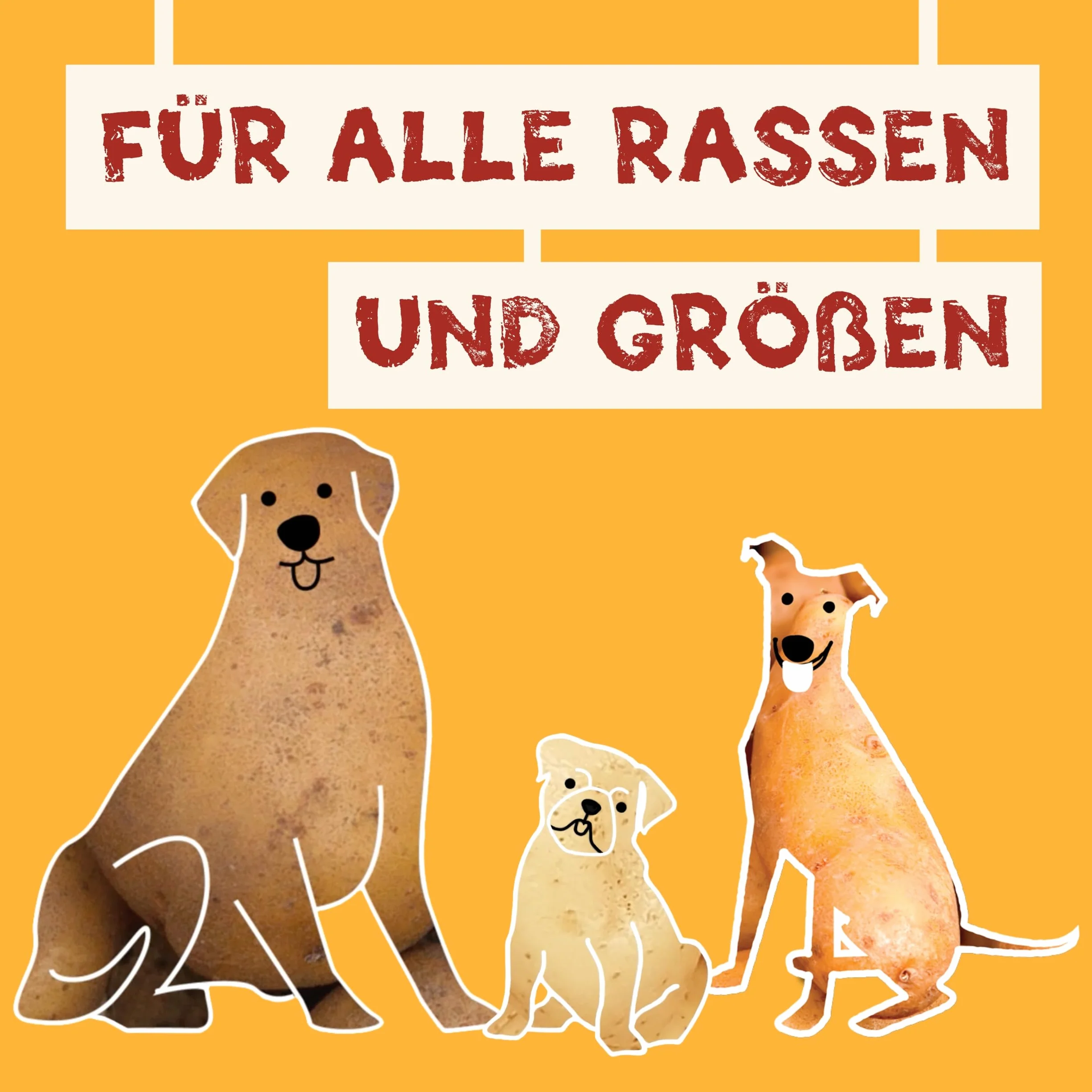 Knoopsnacks voor honden (6 x 180g) | Naturlijke trainingssnacks met 87% zoete aardappel, Rijst en Biergist