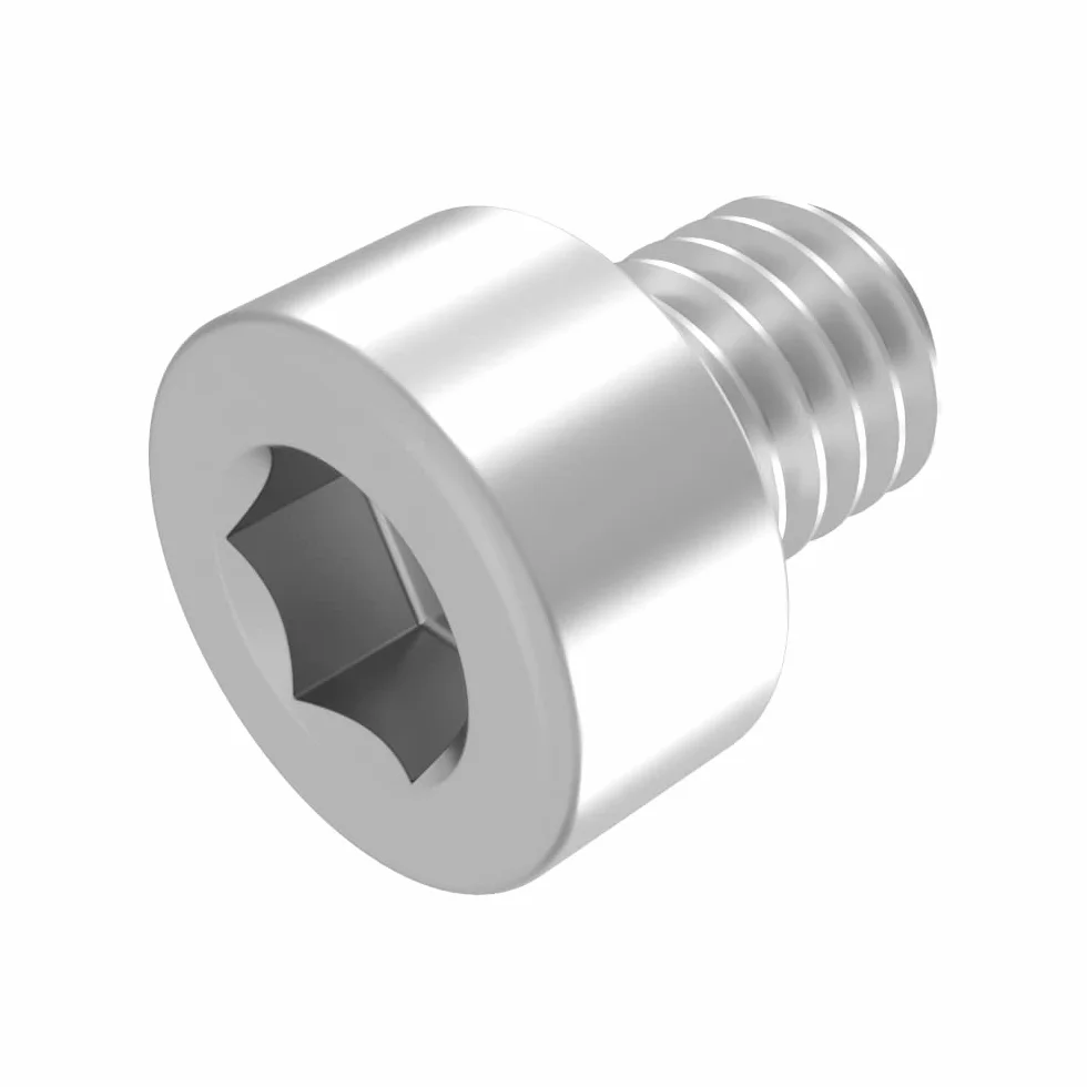 SECCARO Śruba cylindryczna M8 x 10 mm, stal nierdzewna V2A VA A2, DIN 912 / ISO 4762, gniazdo sześciokątne, pełny gwint, 20 sztuk