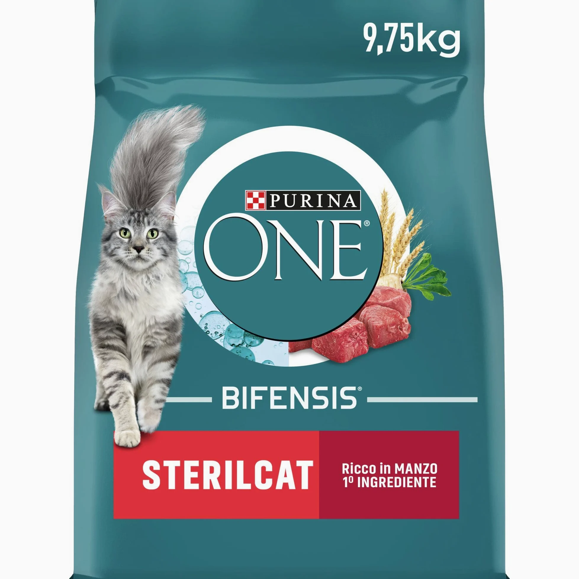 PURINA ONE STERILCAT Karma sucha dla kotów z Wołowiną i Pszenicą 9,75 kg