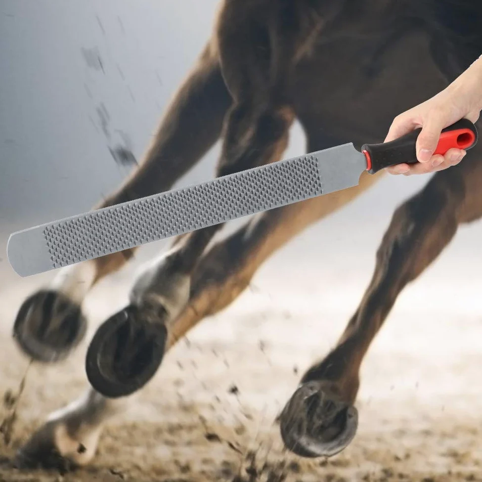 Pilnik do kucia koni, dwustronne narzędzie do czyszczenia kopyt