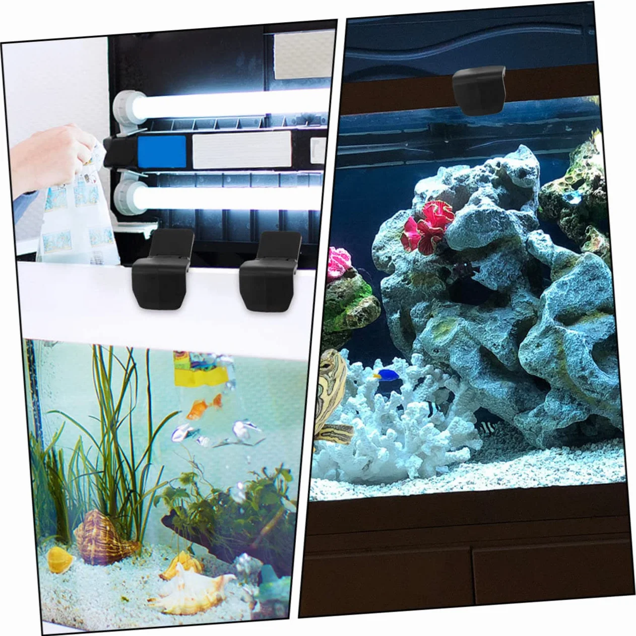 FRCOLOR 6 Sztuk - Blokada Ewakuacyjna Części Do Terrarium Dla Żółwi Zatrzask Zbiornika Dla Gadów Dla Zwierząt Domowych Terrarium Dla Żółwi Dostaw Zatrzask Zbiornika Dla Gadów Szklana