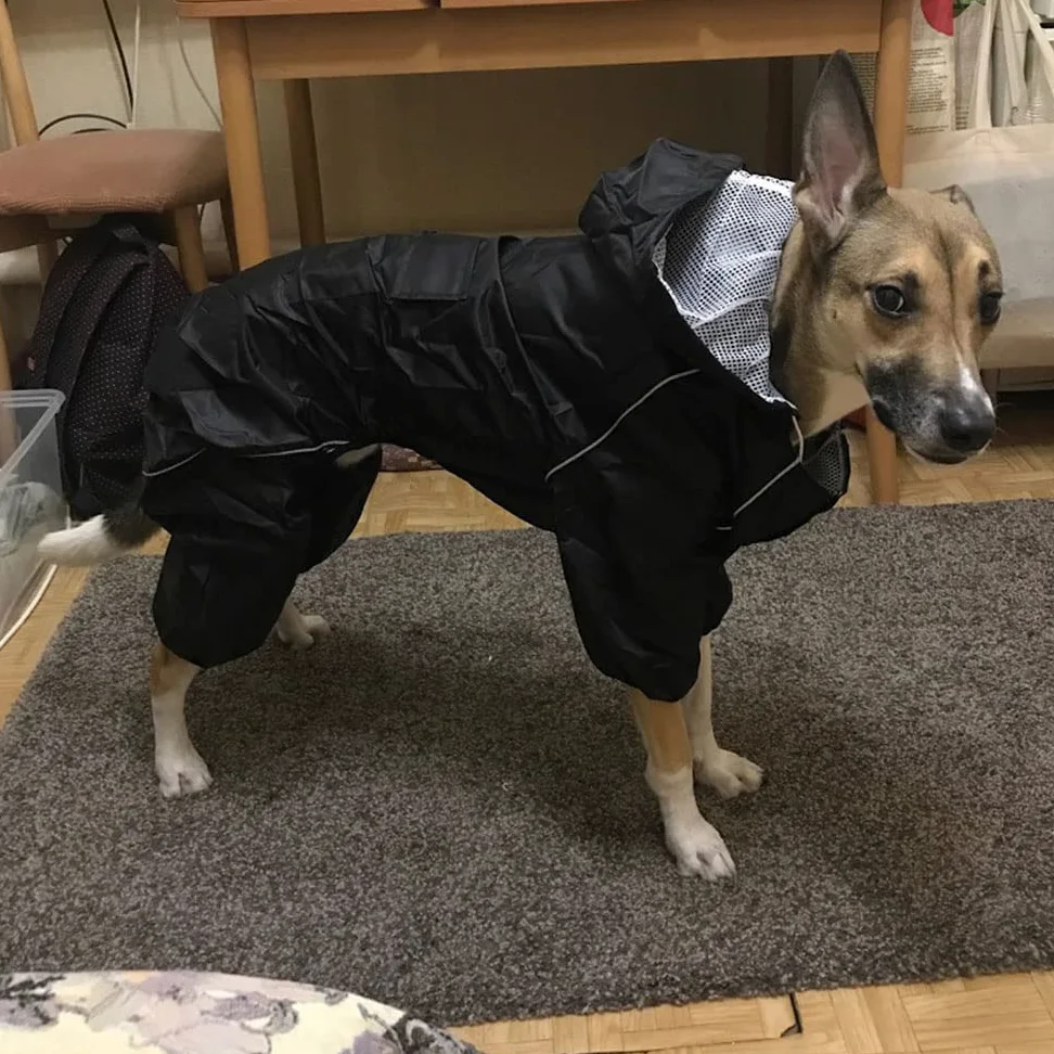 Płaszcz przeciwdeszczowy dla psów, Duży płaszcz przeciwdeszczowy dla psa wodoodporny na zewnątrz duży pies ubrania odblaskowy średni poncho oddychająca siateczka(Xxxl)