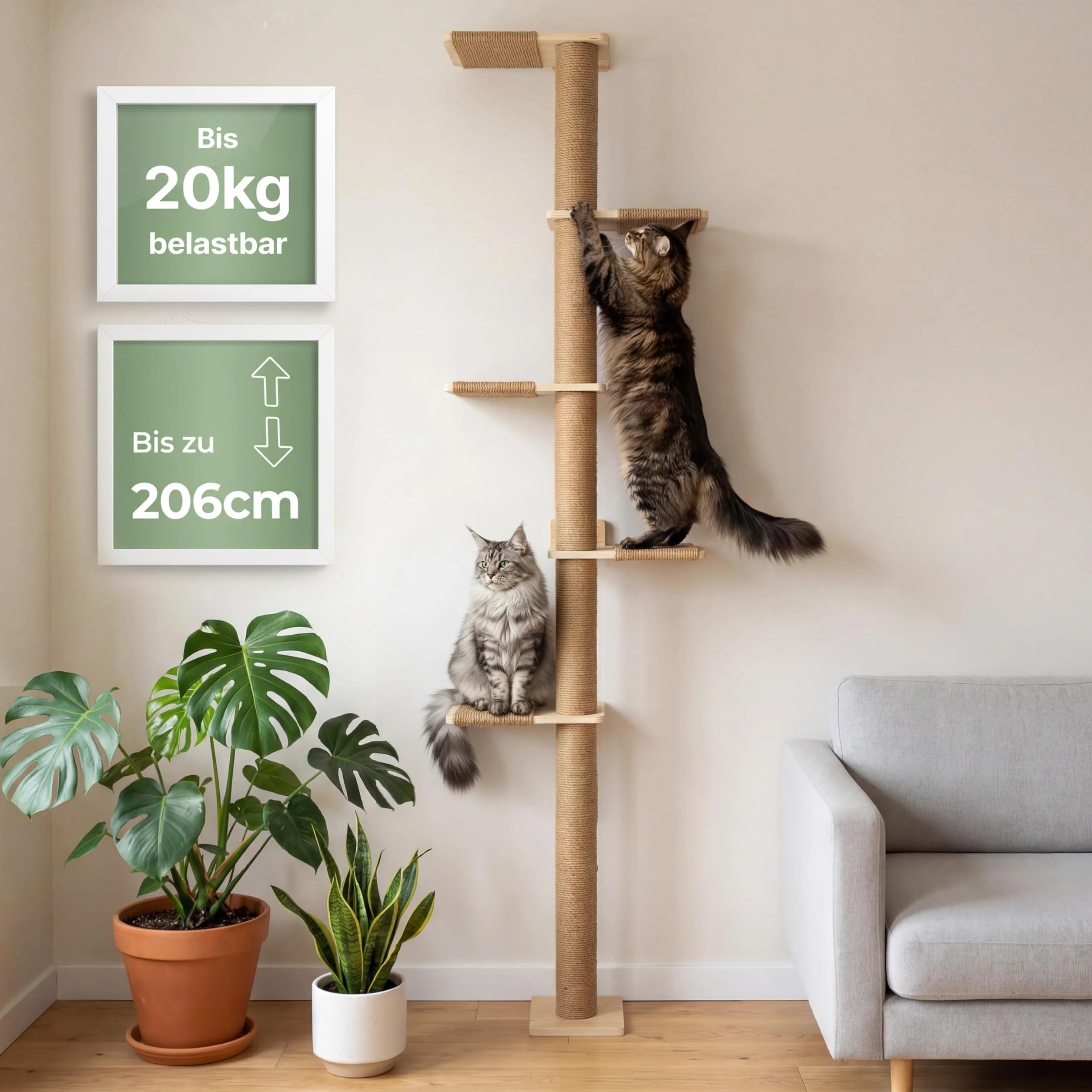 WOOWOOD Drapak na ścianę regulowany do 206 cm drewniany dla kotów