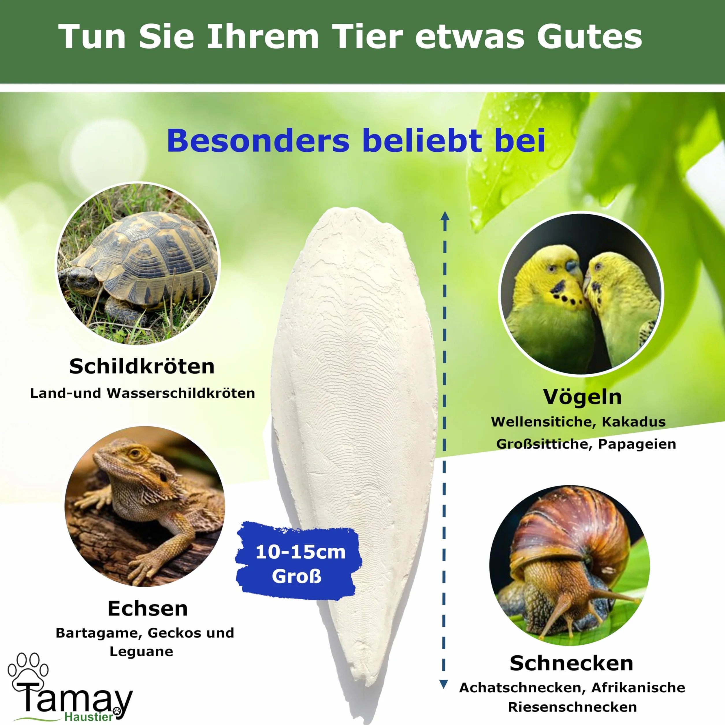 Tamay Miseczki sepia Premium 12 sztuk pokarm dla gadów żółwi ptaków akcesoria do terrarium