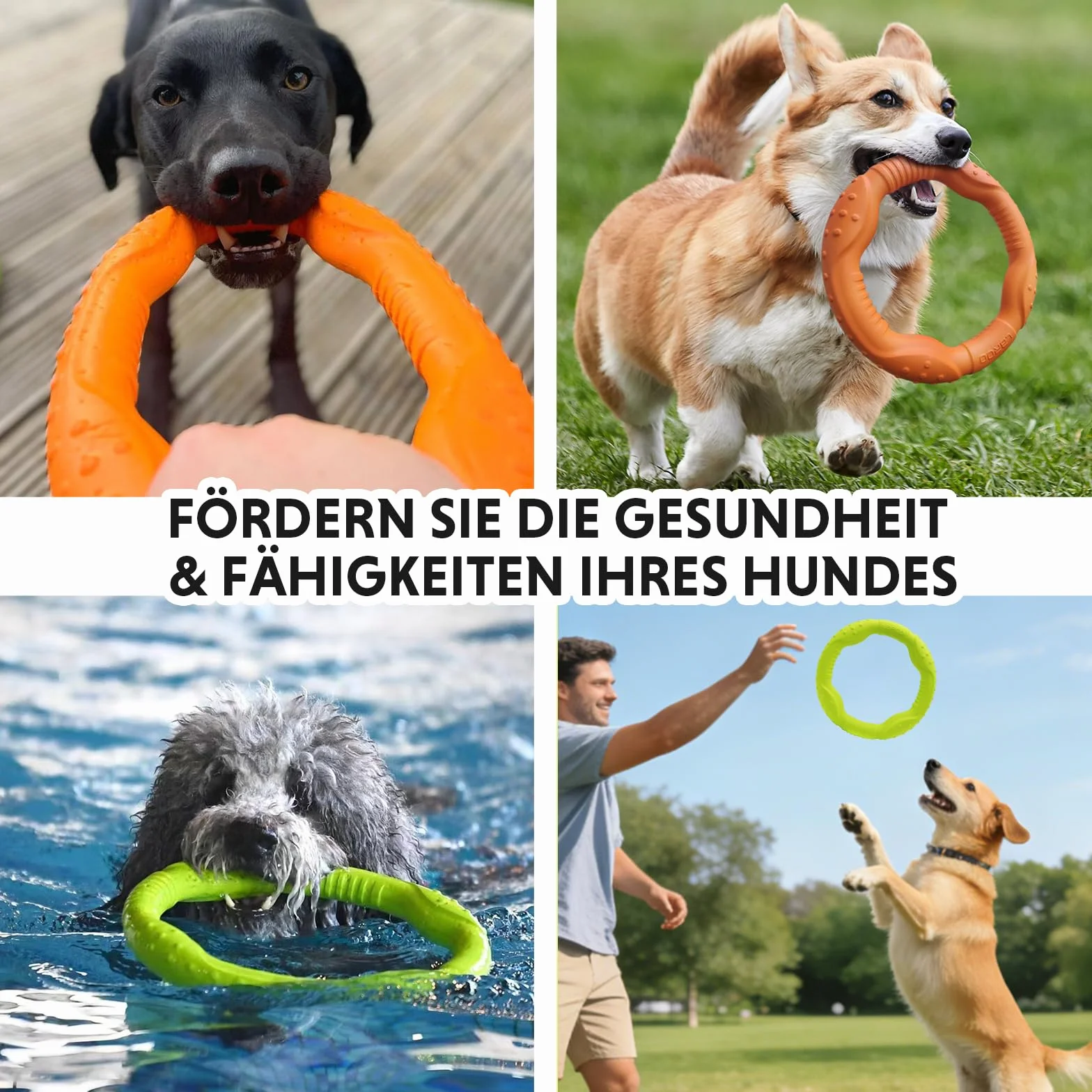 LaRoo Frisbee pierścień fitness dla psa, niezniszczalny pływak dla psów, zabawka, letni trening zwierząt domowych, dla średnich i małych psów
