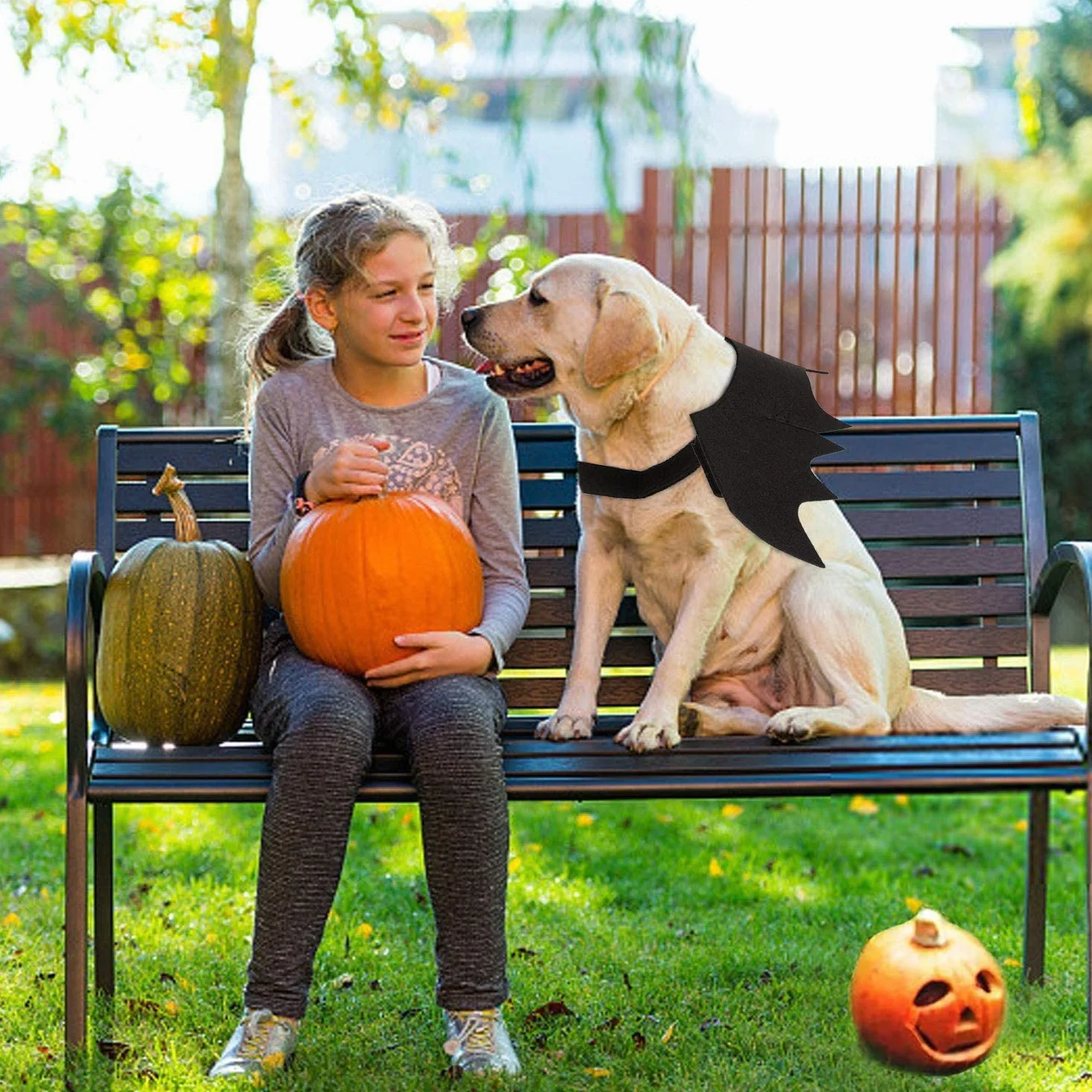 skrzydła psa, kostium nietoperza na Halloween, kostium dla zwierząt domowych, czarne skrzydła nietoperzy, kostium na Halloween, akcesoria dla psów, przebranie na imprezę śmieszne, fajna