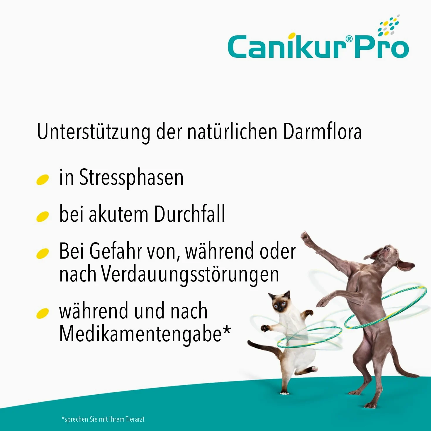 CANIKUR PRO suplement diety dla psów i kotów, 60 ml