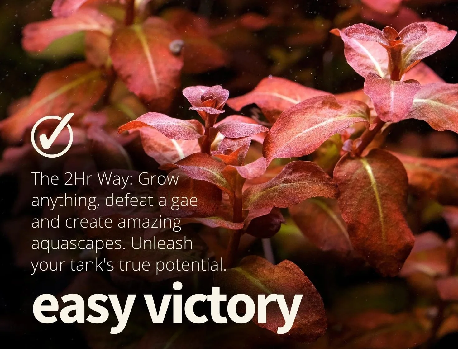 2Hr Aquarist Aquarium plant fertiliser nawóz do roślin akwariowych APT Estimative Index (300ml)