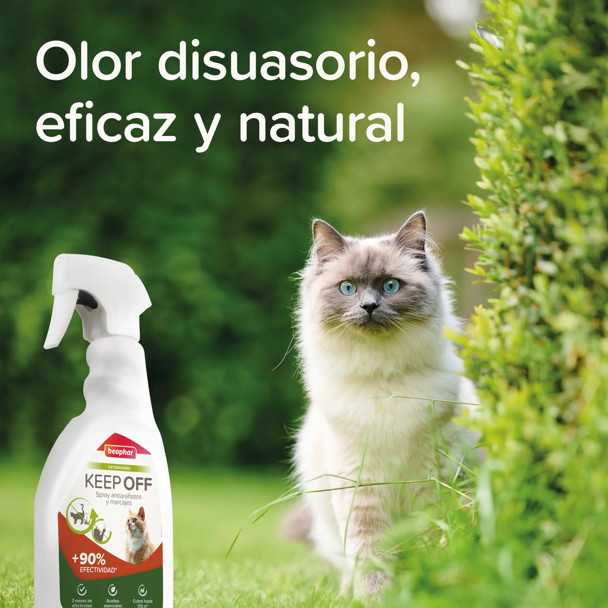 Beaphar Keep Off Outdoor Spray dla kotów – odporny na zarysowania i znakowanie – wychowawca i odstraszacz – ochrona do 3 miesięcy – z olejkami eterycznymi – do ogrodu i na taras – 500 ml