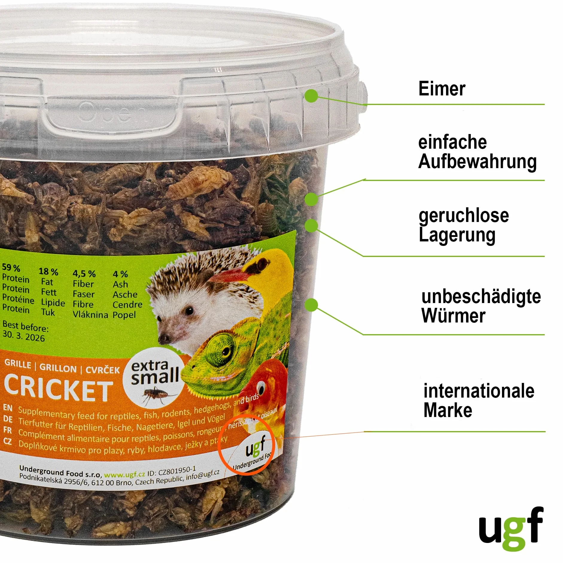UGF - Suszone małe świerszcze - 80 g w wiaderku 500 ml, Owady świerszcze, Karma dla ptaków dzikich (całoroczna), Karma dla żółwi, Karma dla jeży, Karma dla jaszczurek, Karma dla ryb