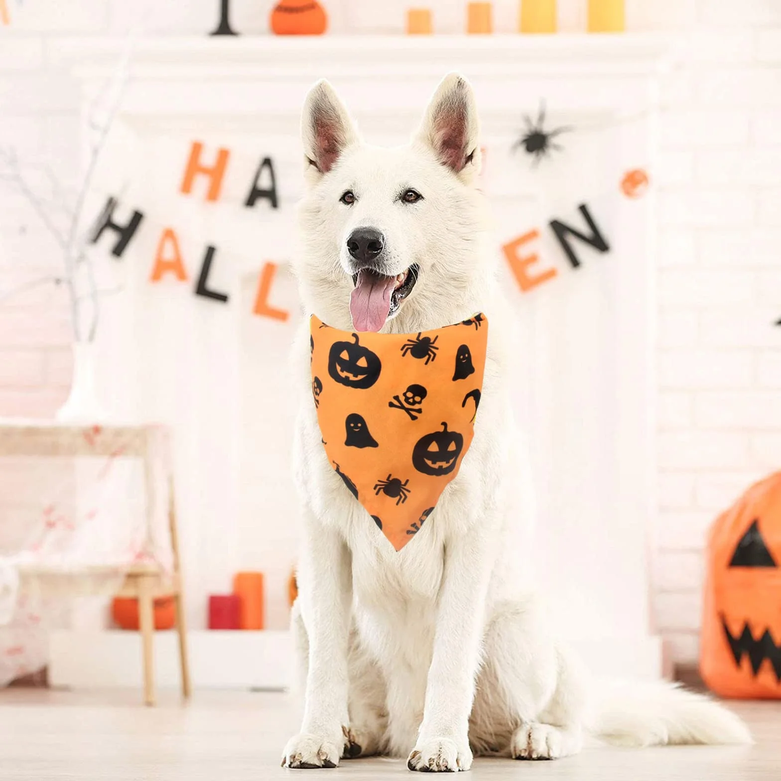 Bandany dla psa na Halloween, 2 szt. zmywalnych halloweenowych czarownic wzór dyni szalik dla psa, regulowana trójkątna chusta dla kota psa, akcesoria do kostiumu dla szczeniaka małych i średnich dużych psów