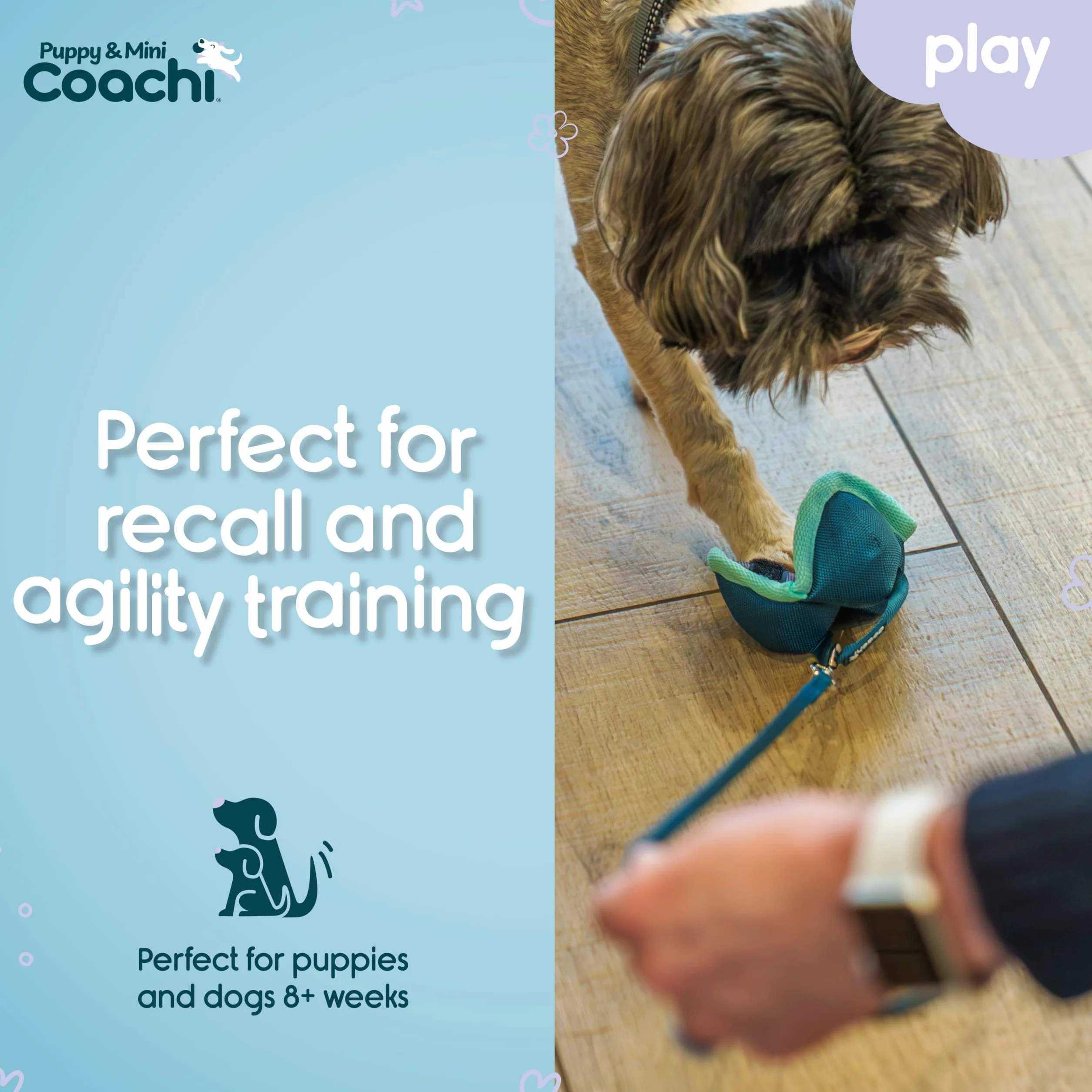 Coachi Puppy & Mini Chase & Treat – Idealny dla zabawy i pościgów, agility i treningu na odległość, zachęca do interakcji, dobre do motywowania, Odpowiednie dla szczeniąt i małych psów