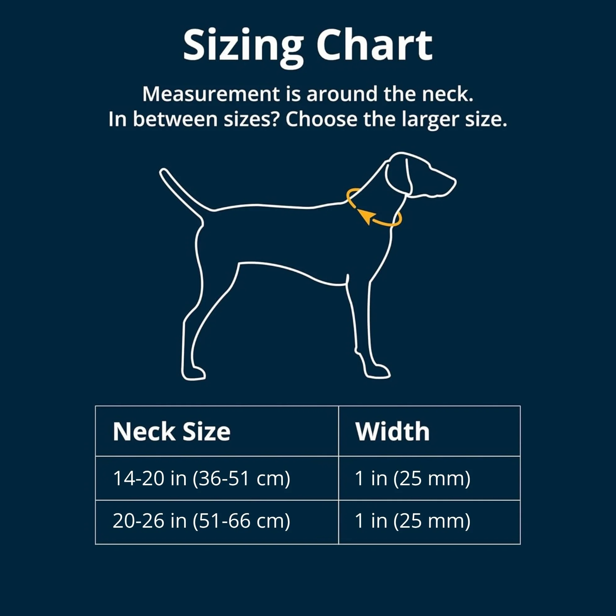Ruffwear, Confluence obroża dla psa, wodoodporna, wytrzymała, szybkozłączka, odporna na zapachy, łatwa w czyszczeniu, regulowana taśma TPU z cichym mocowaniem na identyfikator, Aurora Teal, 35 cm – 51