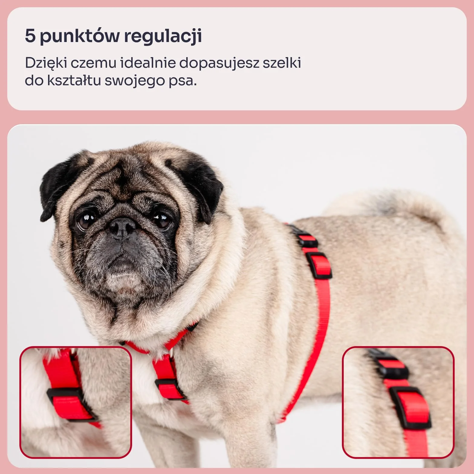 Chaba Szelki dla Małego Psa Guard | 5-cio stopniowa regulacja | Mocne zatrzaski | Ergonomiczne, Bezuciskowe, Lekkie, Regulowane, Solidne, Mocne, Wygodne | NO SHARP | CZERWONE | M
