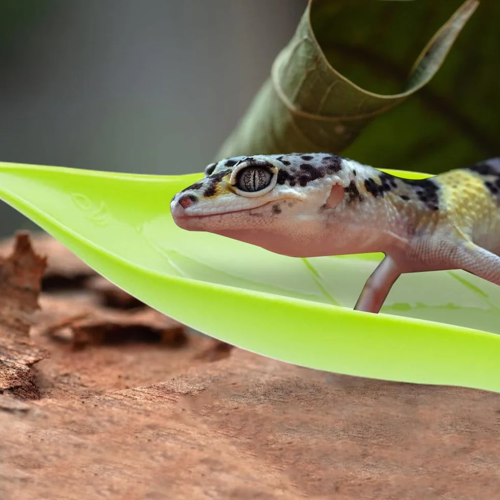 Betta Hamak z liśćmi, 3 szt. plastikowy zbiornik na ryby symulacja liść łóżko z przyssawką do akwarium, małe gady, brodate smoki