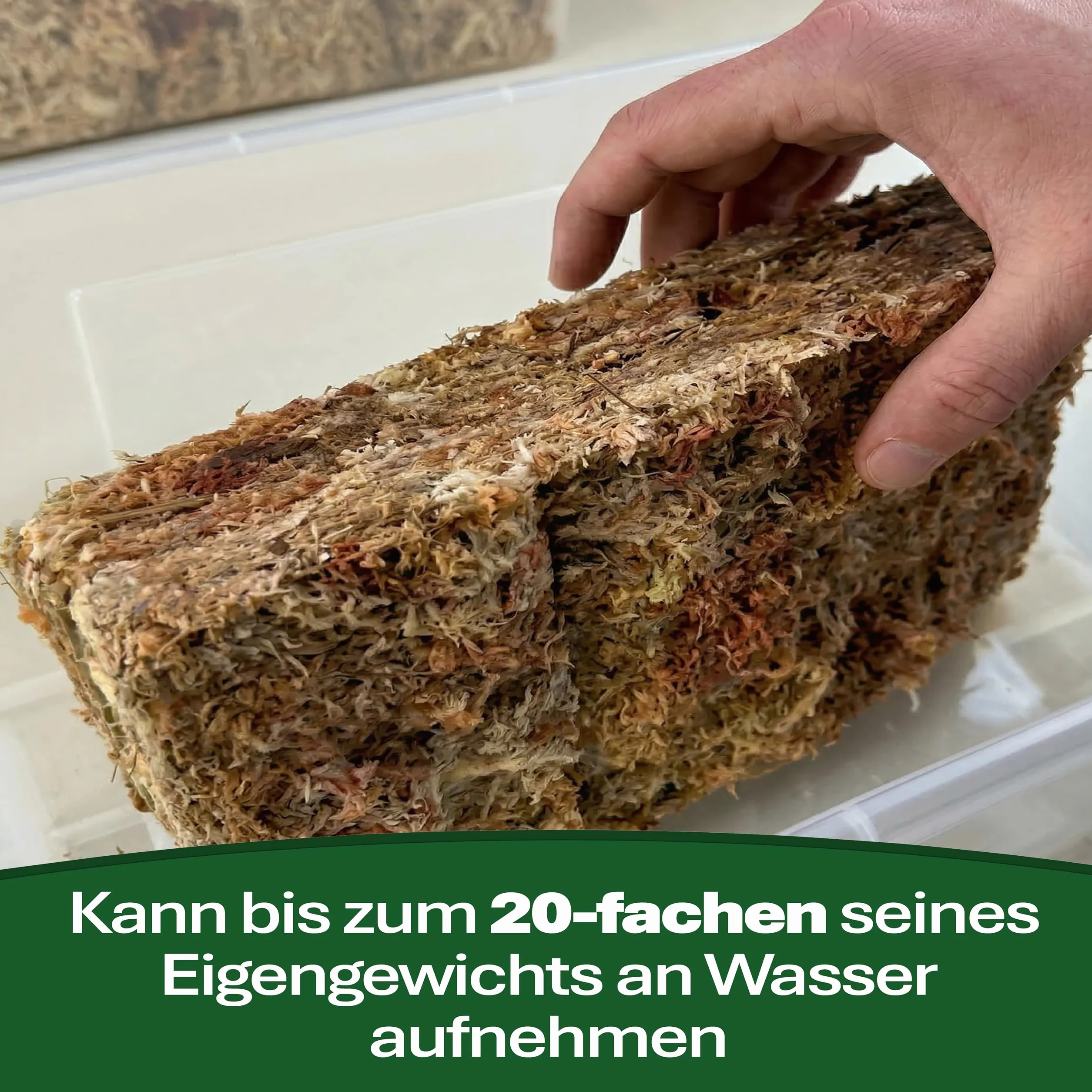 Mech torfowiec do terrarium i storczyków z Chile 1 x 1000 g dla storczyków i terrarystyki - Idealne podłoże i patyki z mchu