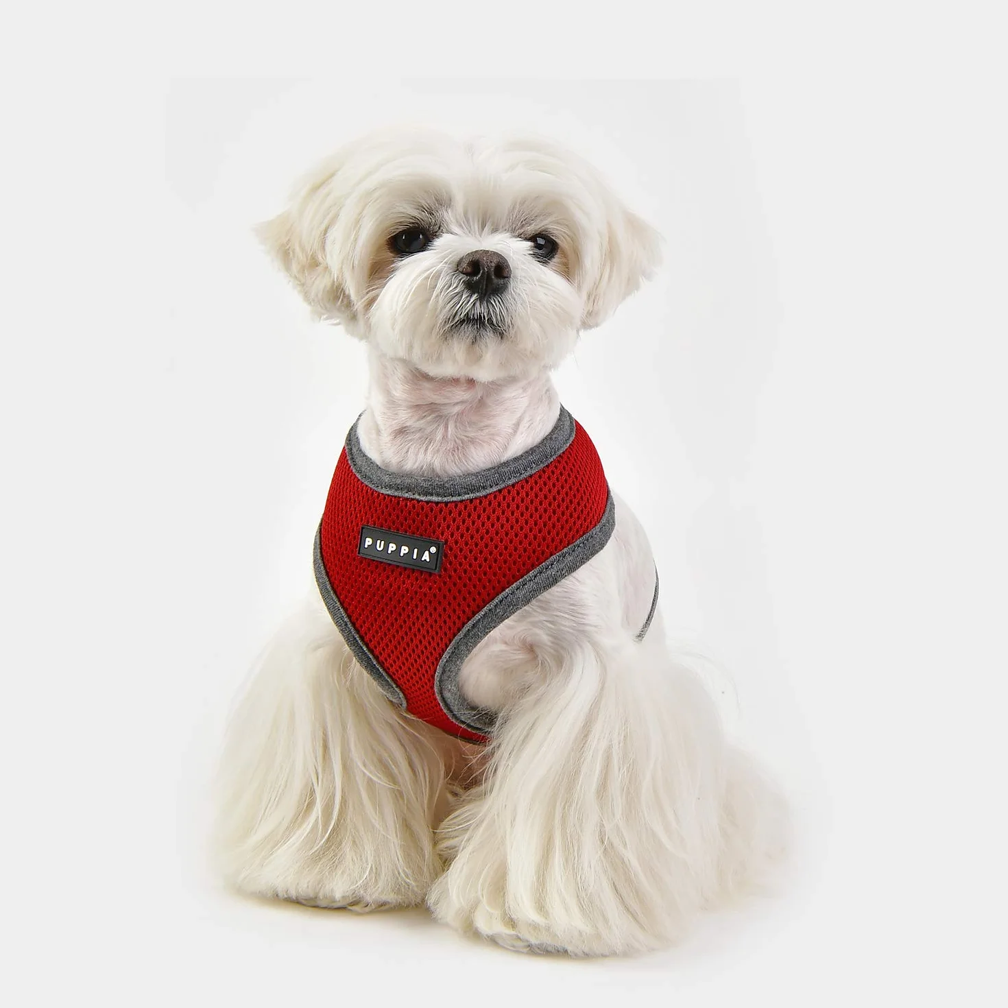 Puppia Soft Harness II - Super miękkie szelki dla psa